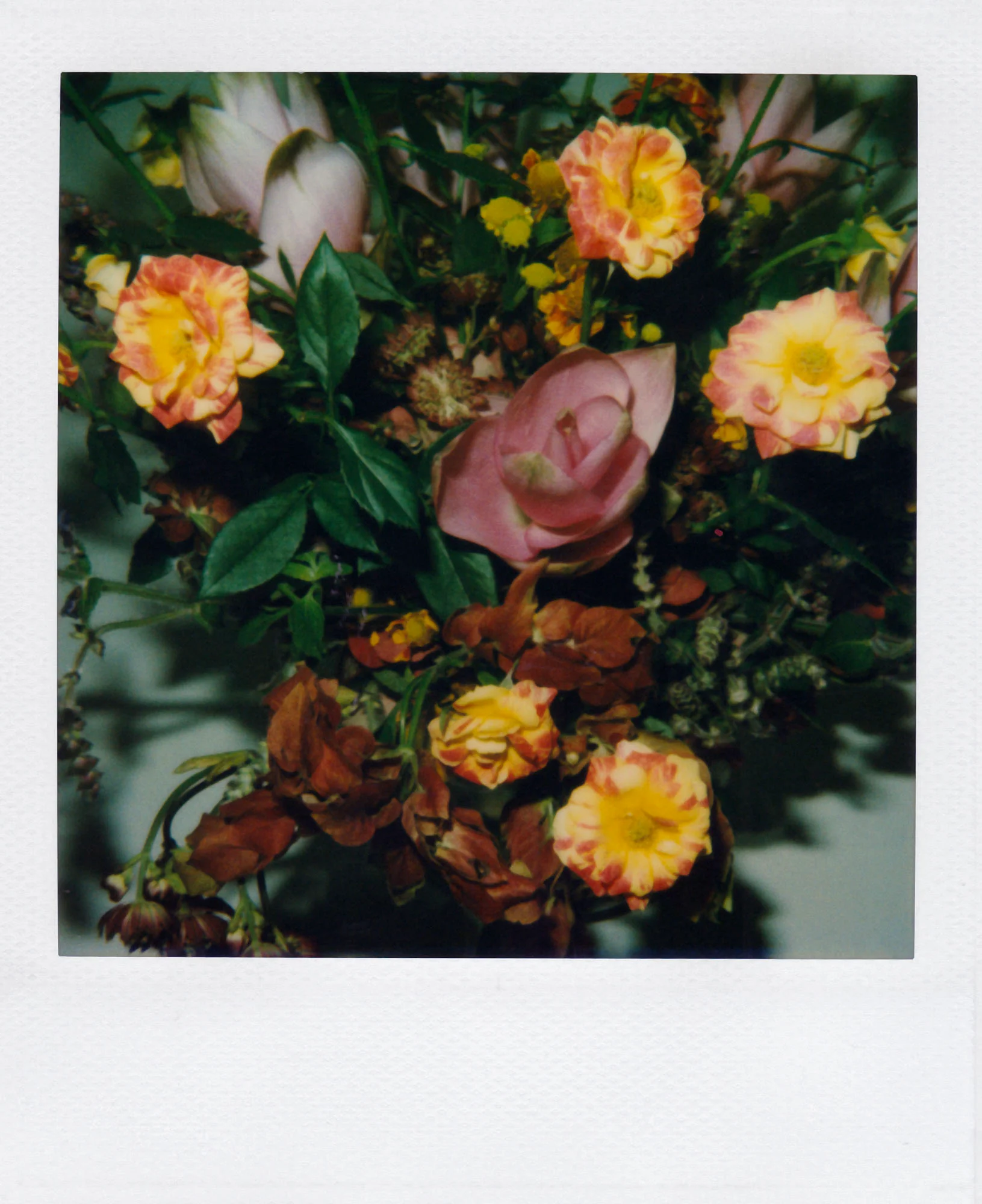 Nobuyoshi Araki <br><em>Flower</em>, 2006-2009 - Image 27