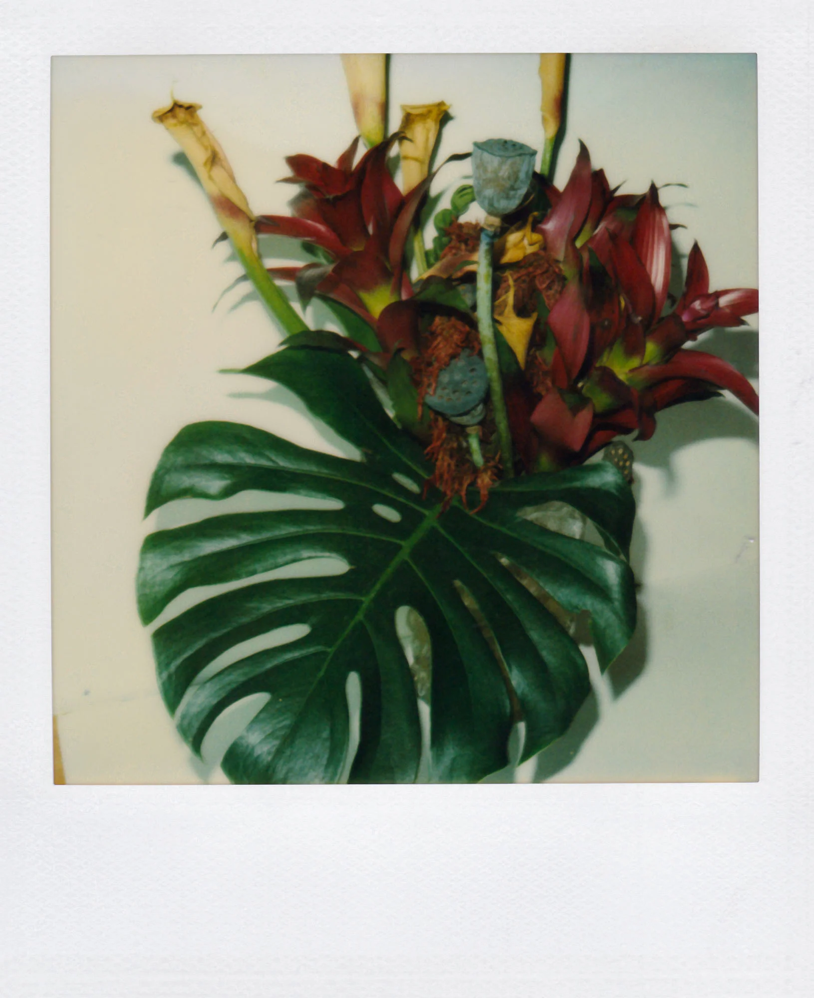 Nobuyoshi Araki <br><em>Flower</em>, 2006-2009 - Image 28