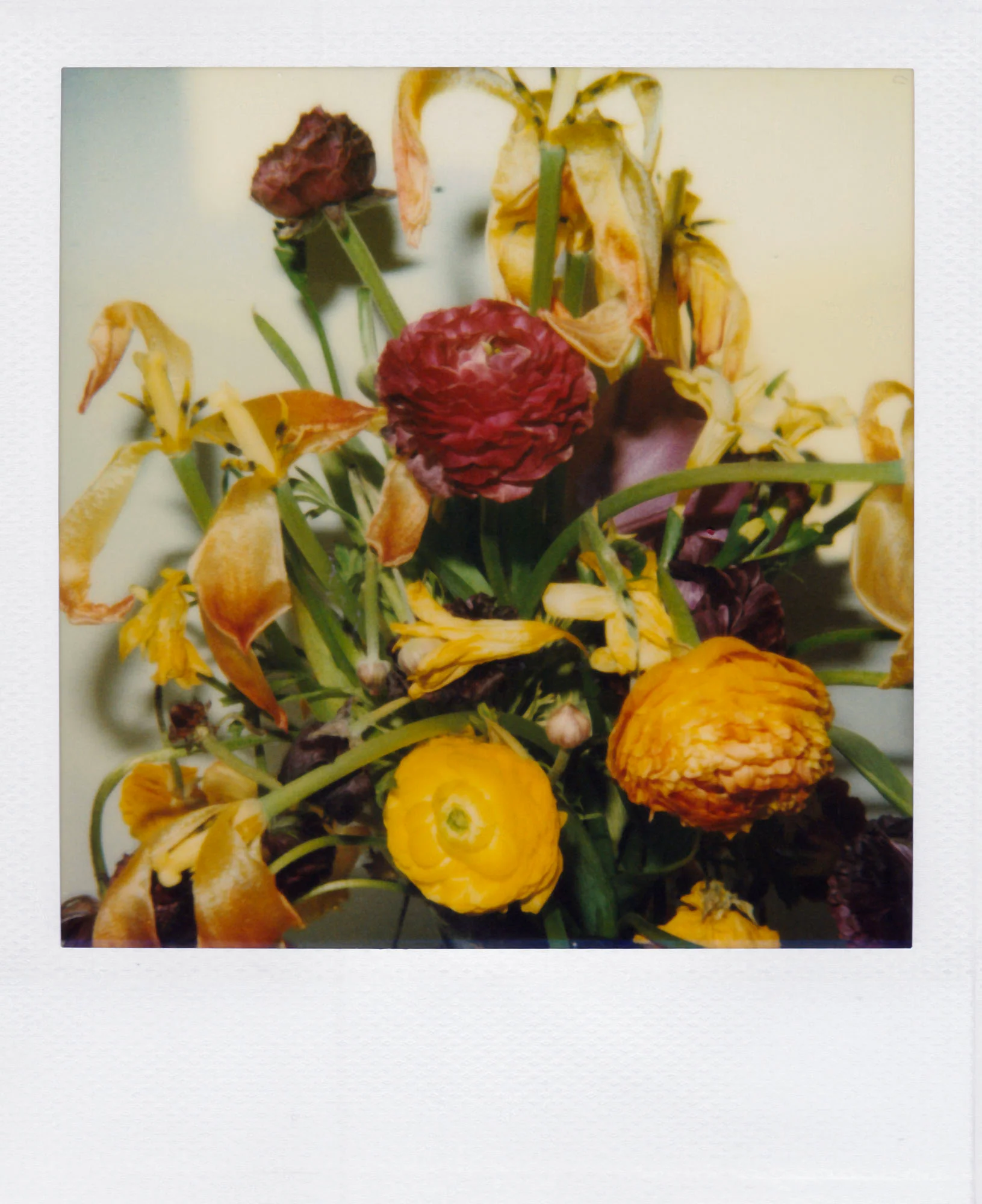 Nobuyoshi Araki <br><em>Flower</em>, 2006-2009 - Image 4