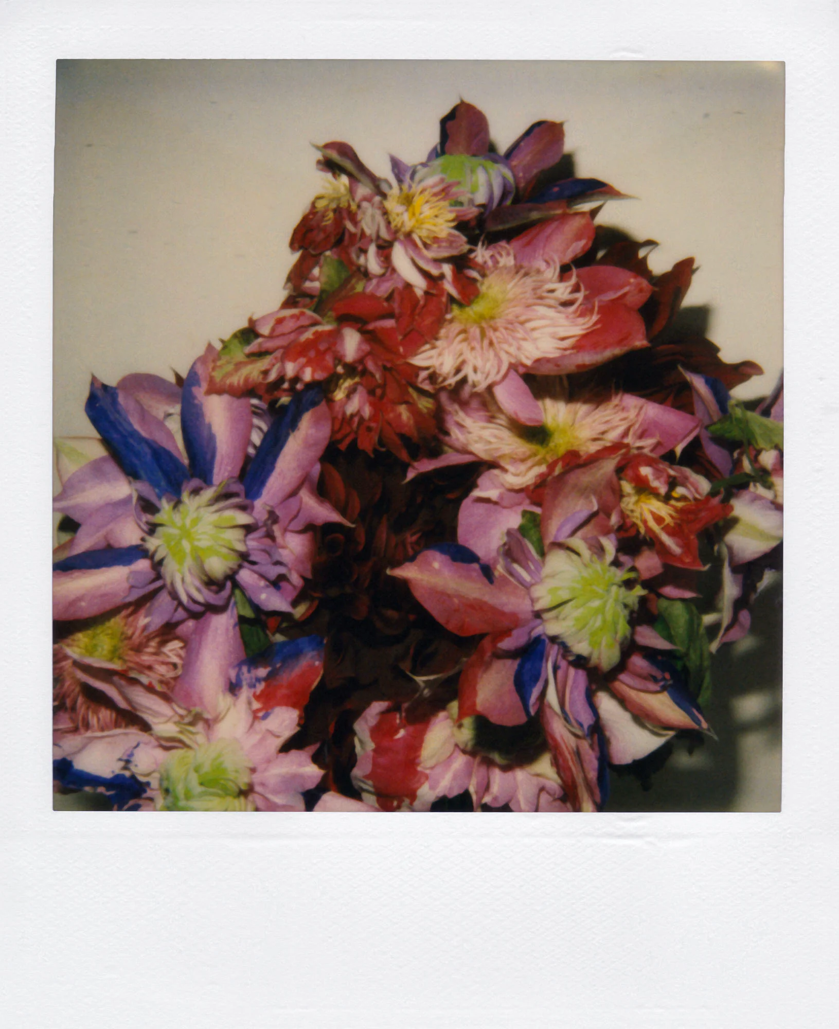 Nobuyoshi Araki <br><em>Flower</em>, 2006-2009 - Image 5