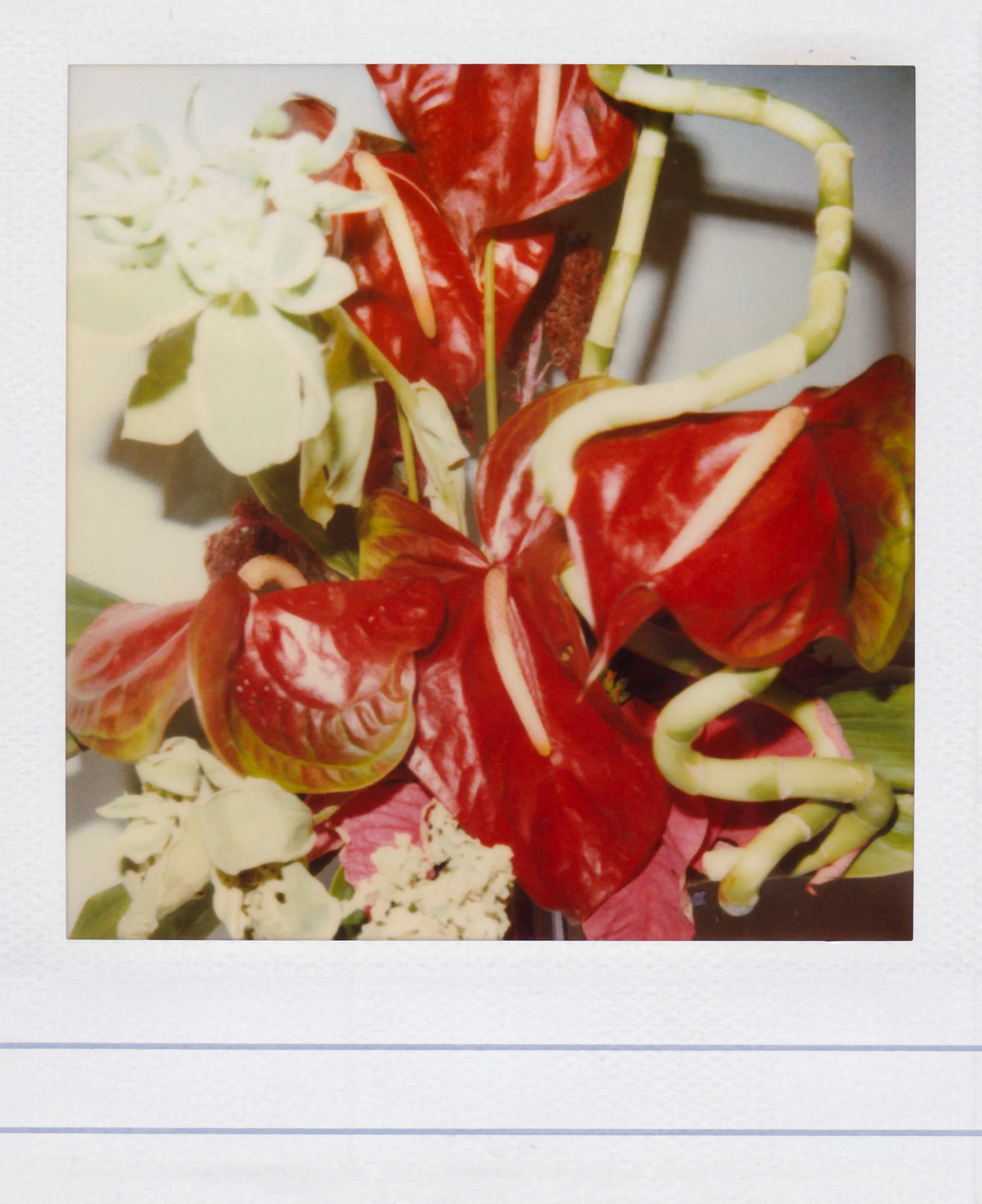 Nobuyoshi Araki <br><em>Flower</em>, 2006-2009 - Image 9