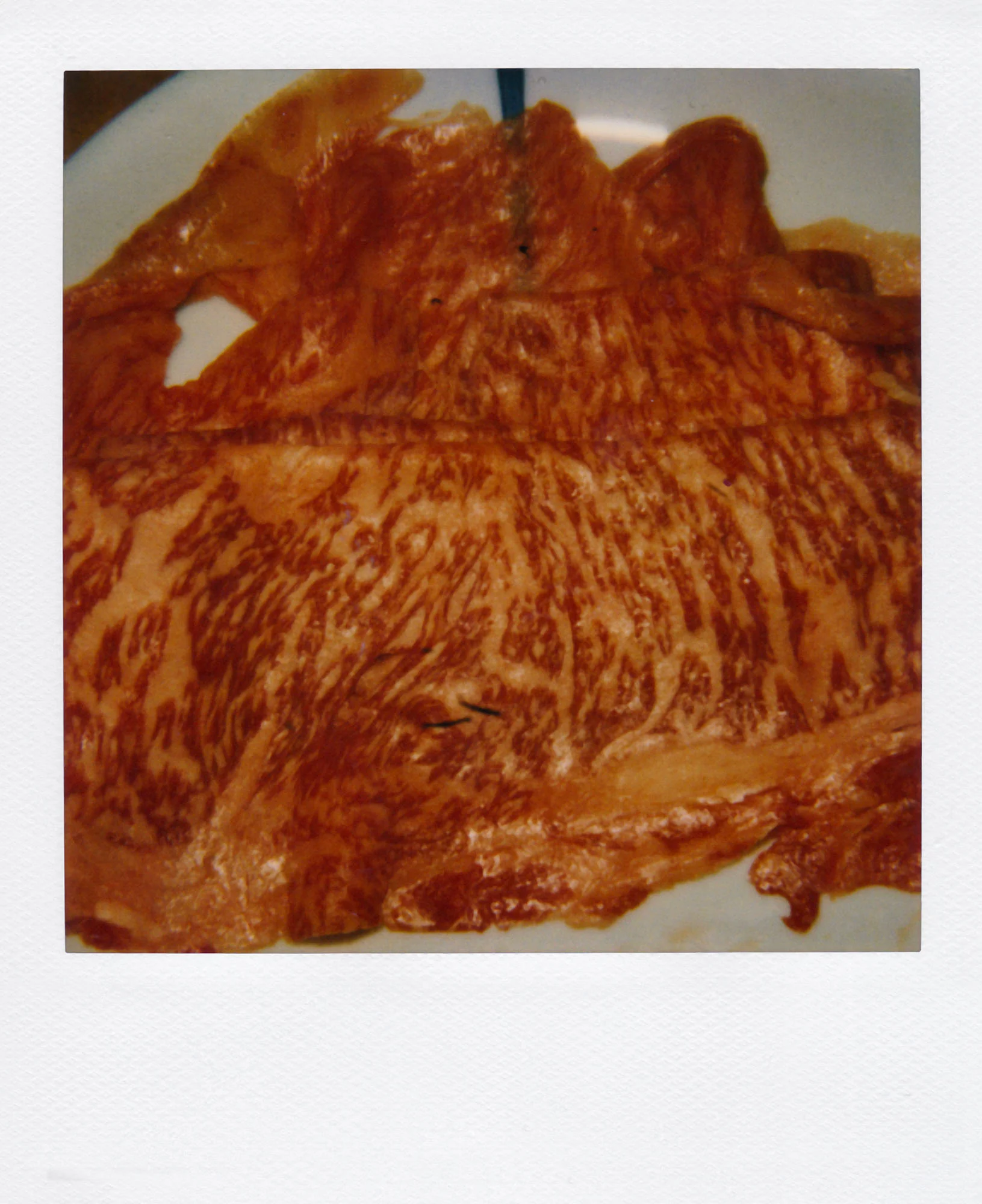 Nobuyoshi Araki <br><em>Object</em>, 2006-2009 - Image 13