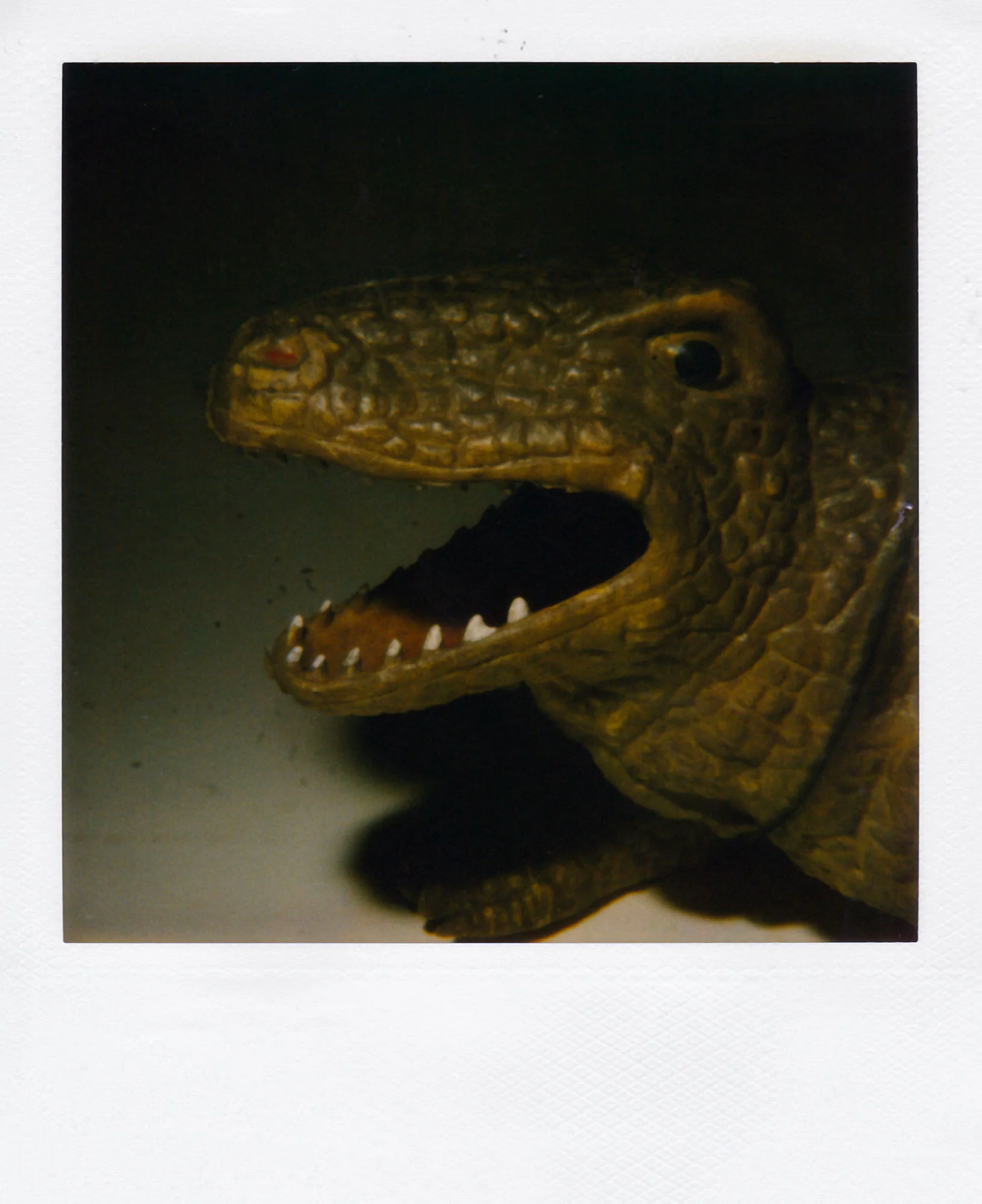 Nobuyoshi Araki <br><em>Object</em>, 2006-2009 - Image 14