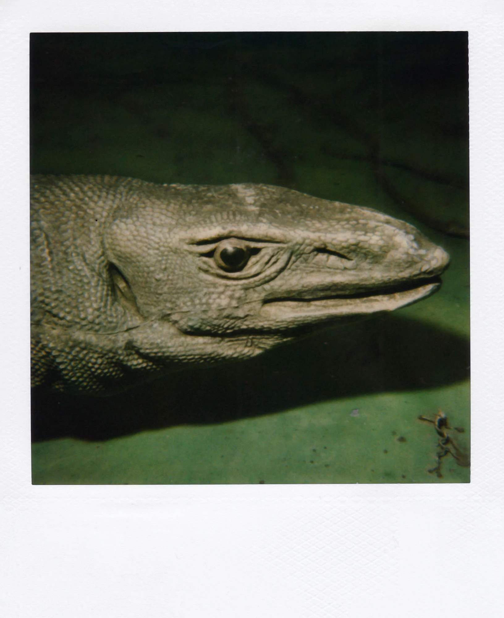 Nobuyoshi Araki <br><em>Object</em>, 2006-2009 - Image 15