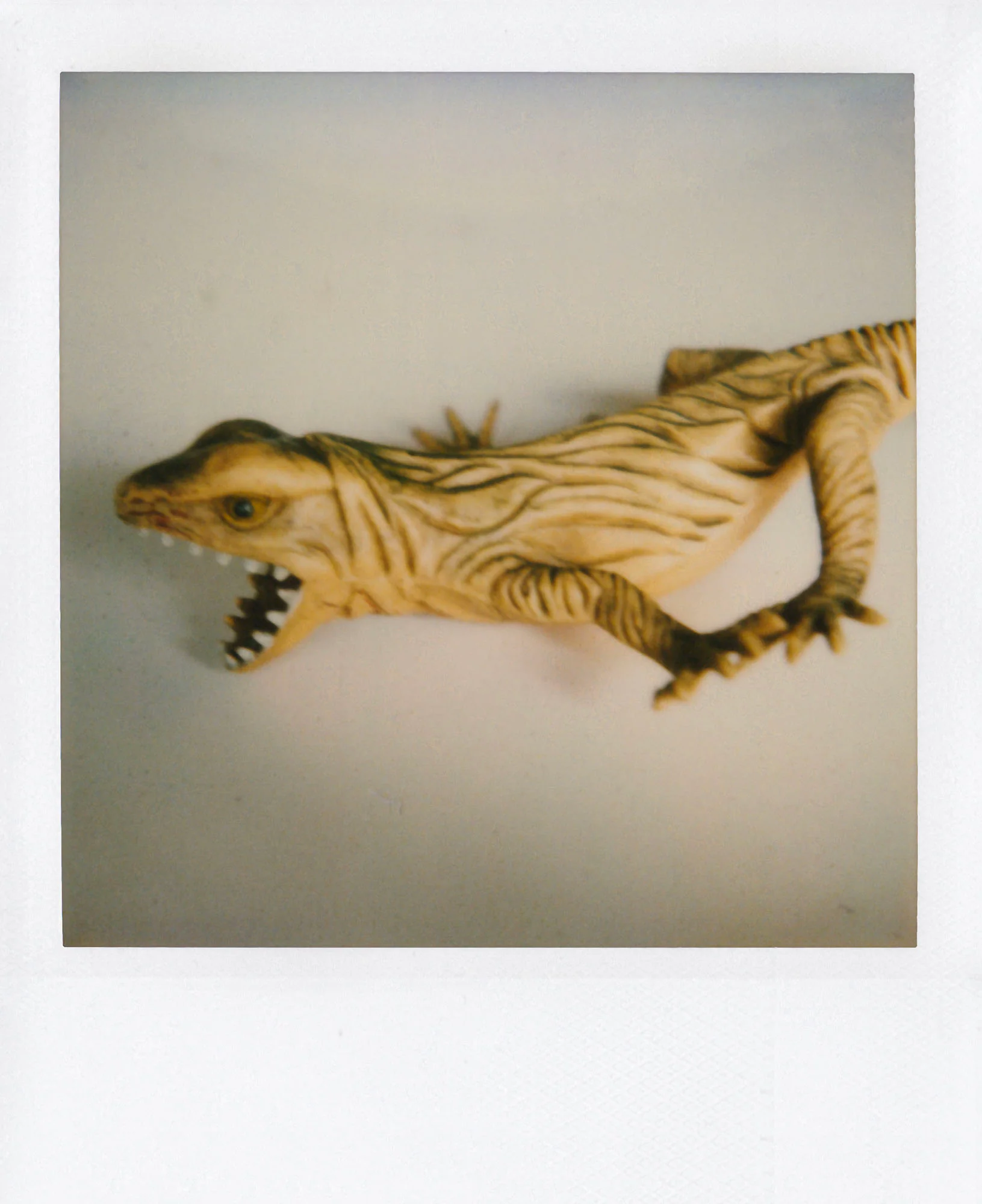Nobuyoshi Araki <br><em>Object</em>, 2006-2009 - Image 17