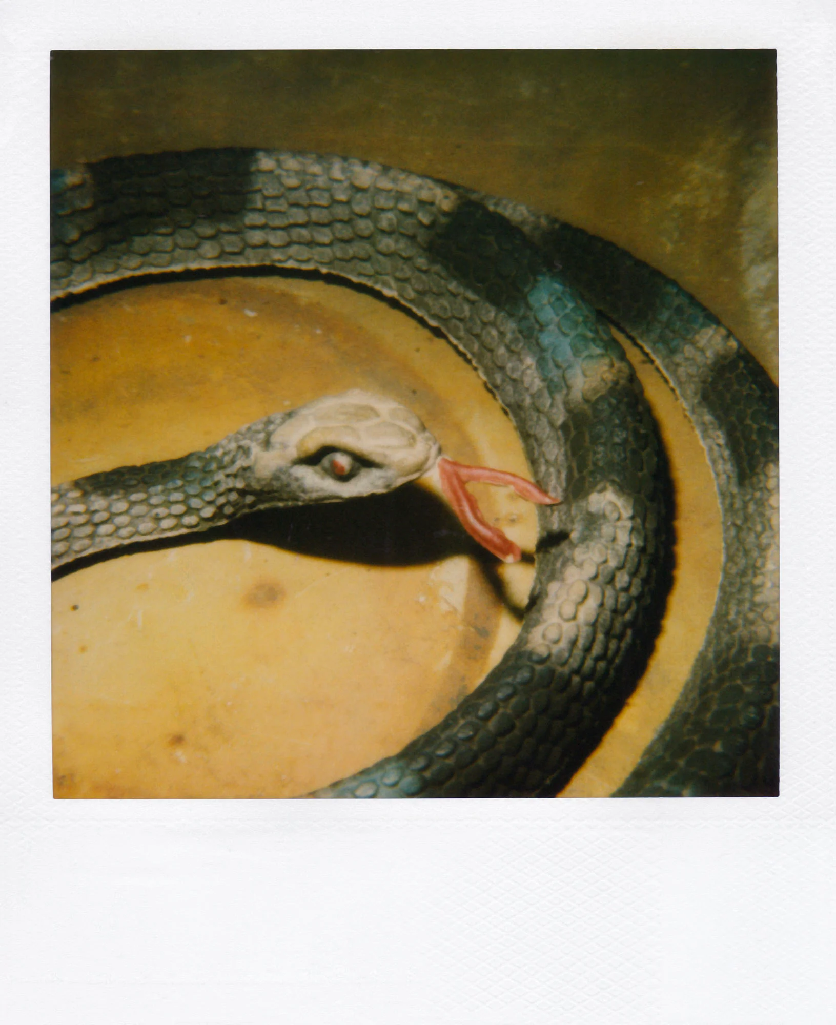 Nobuyoshi Araki <br><em>Object</em>, 2006-2009 - Image 2