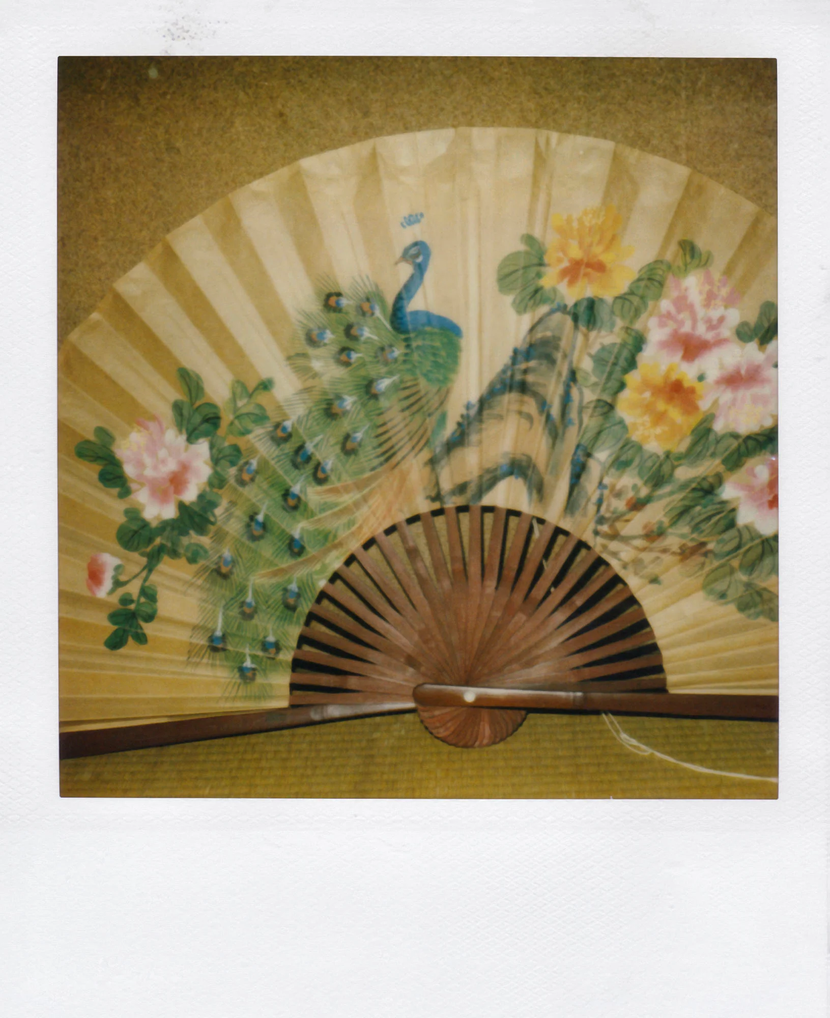 Nobuyoshi Araki <br><em>Object</em>, 2006-2009 - Image 22