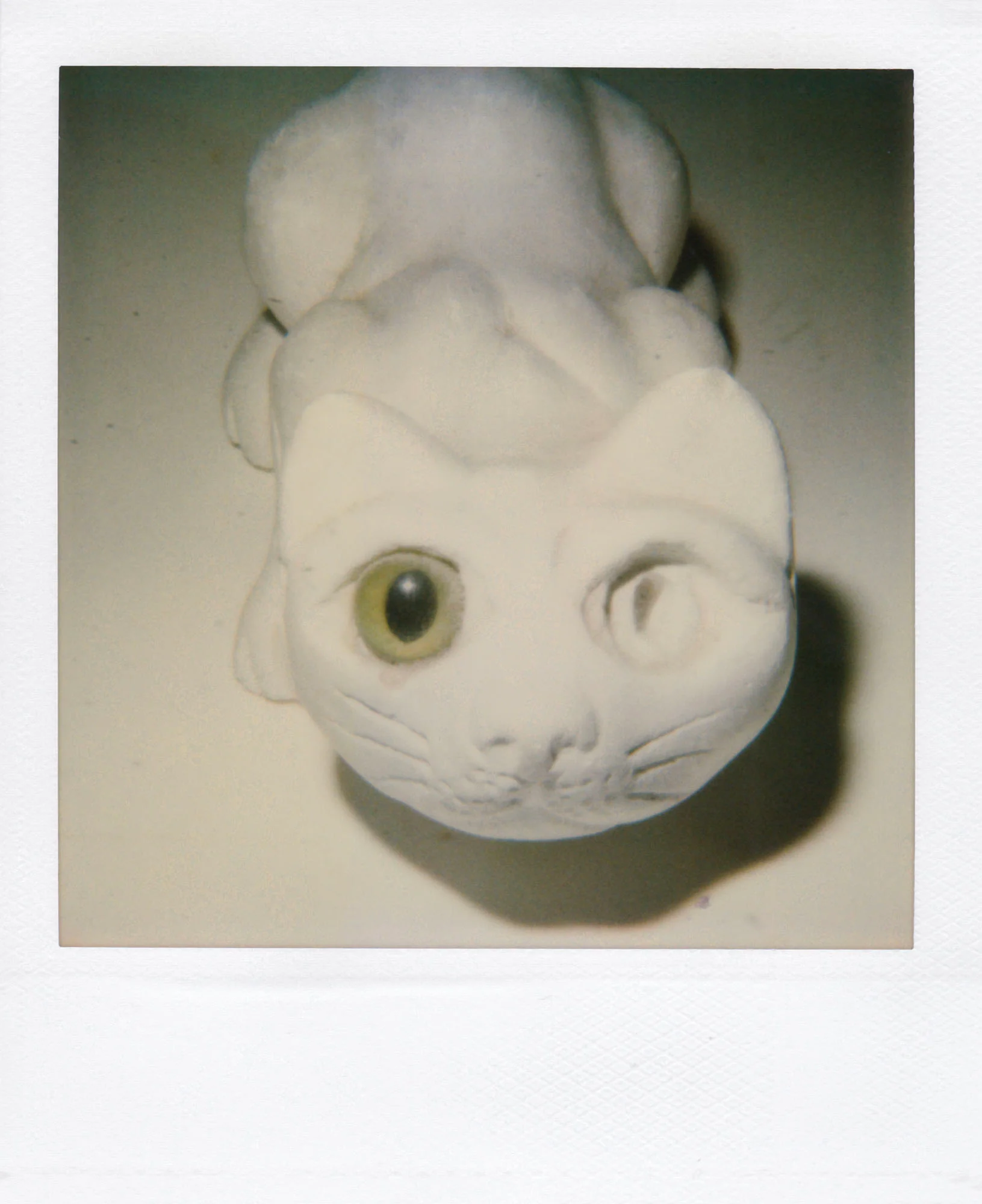 Nobuyoshi Araki <br><em>Object</em>, 2006-2009 - Image 7