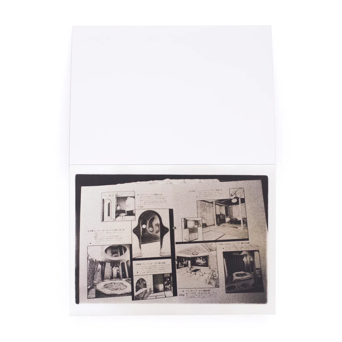 Nobuyoshi Araki - Theater of Love - Image 6