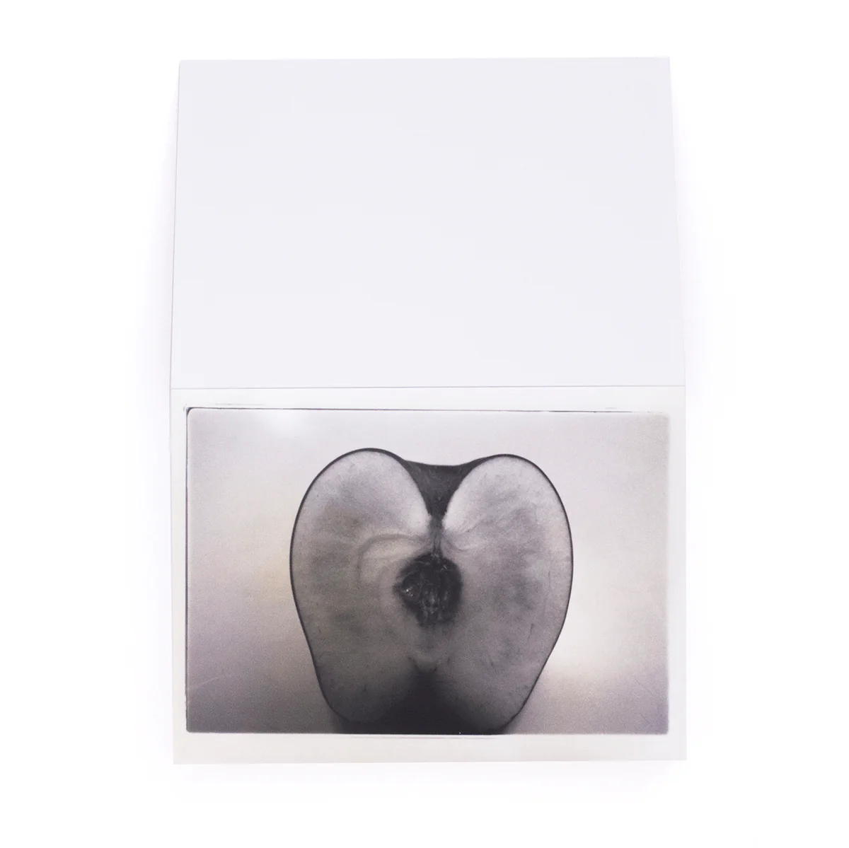 Nobuyoshi Araki - Theater of Love - Image 7