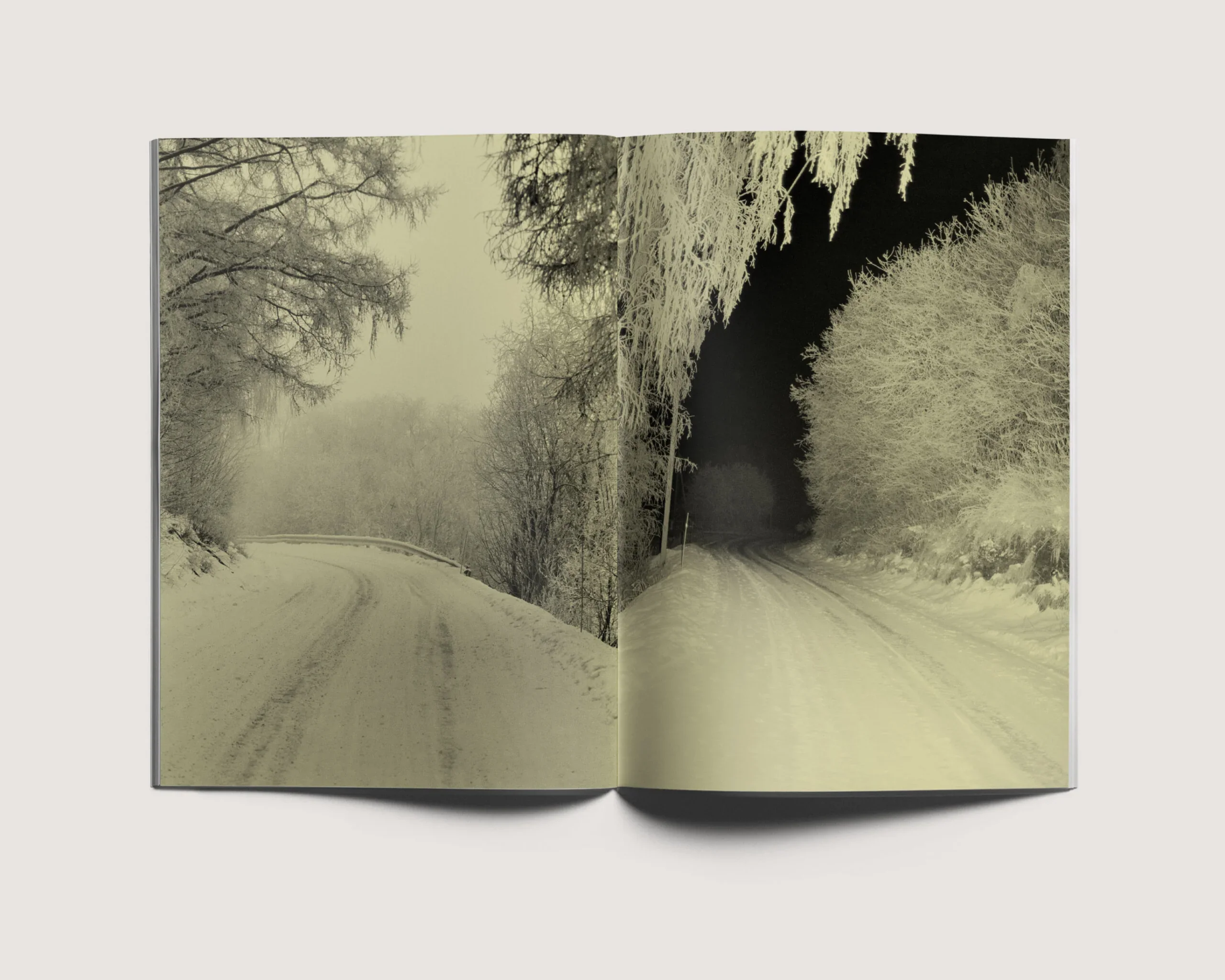 Ola Rindal - Road to The Farm - Image 4