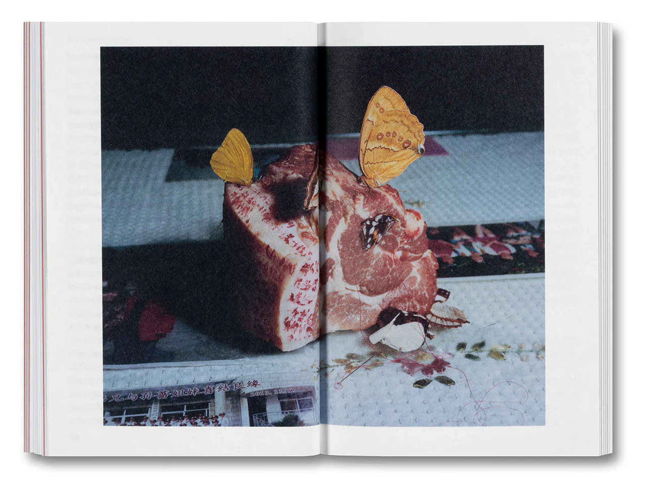 Olivier Richon - The Devouring Eye: Photography and the Mouth - Image 10