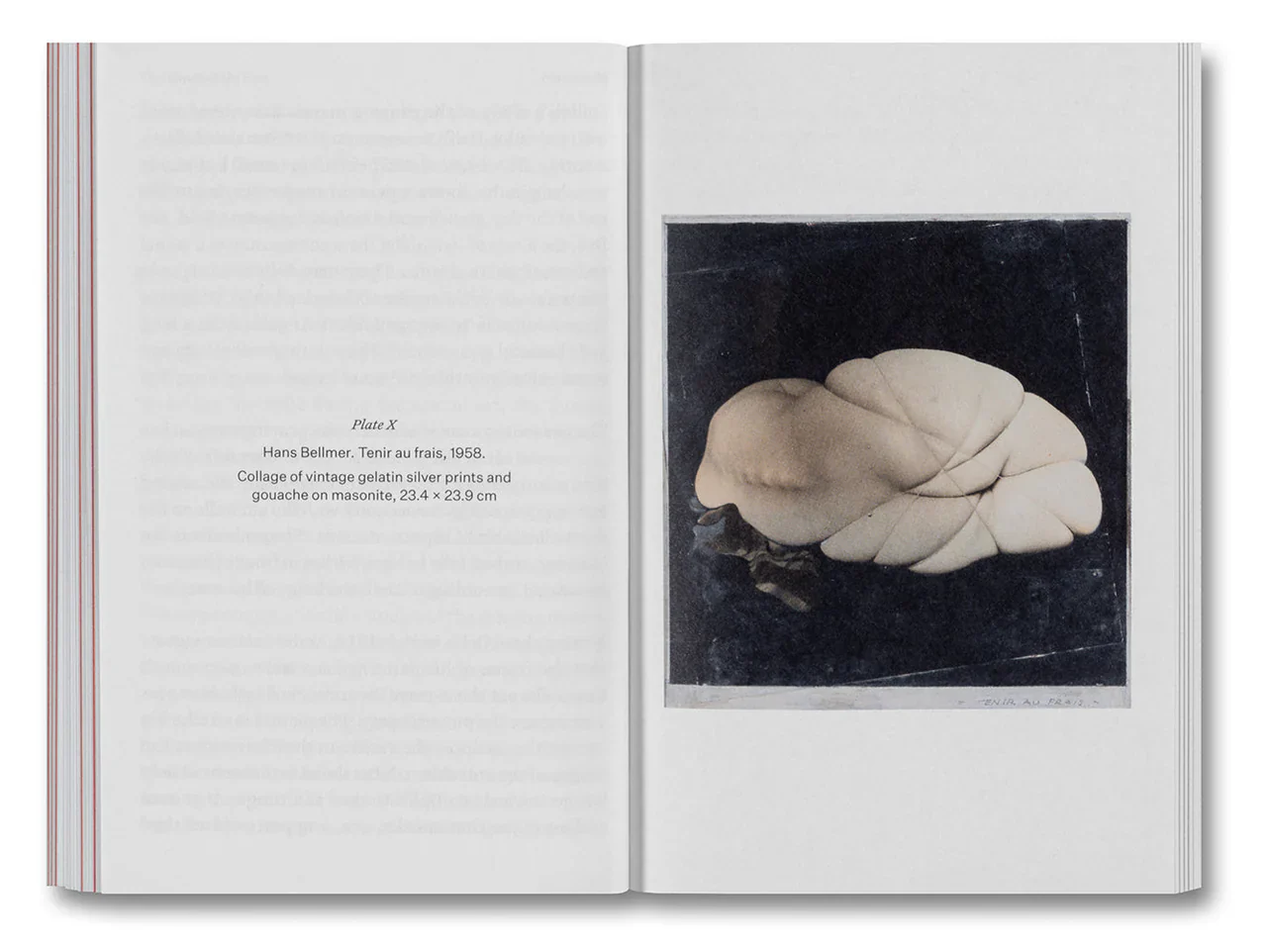 Olivier Richon - The Devouring Eye: Photography and the Mouth - Image 11