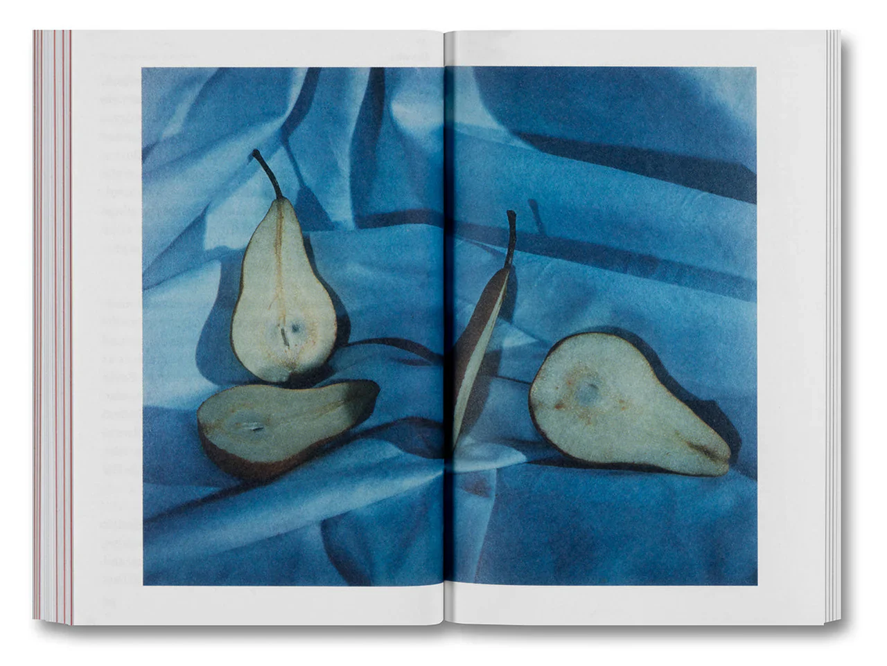 Olivier Richon - The Devouring Eye: Photography and the Mouth - Image 12