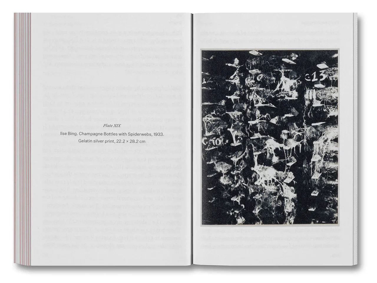 Olivier Richon - The Devouring Eye: Photography and the Mouth - Image 15