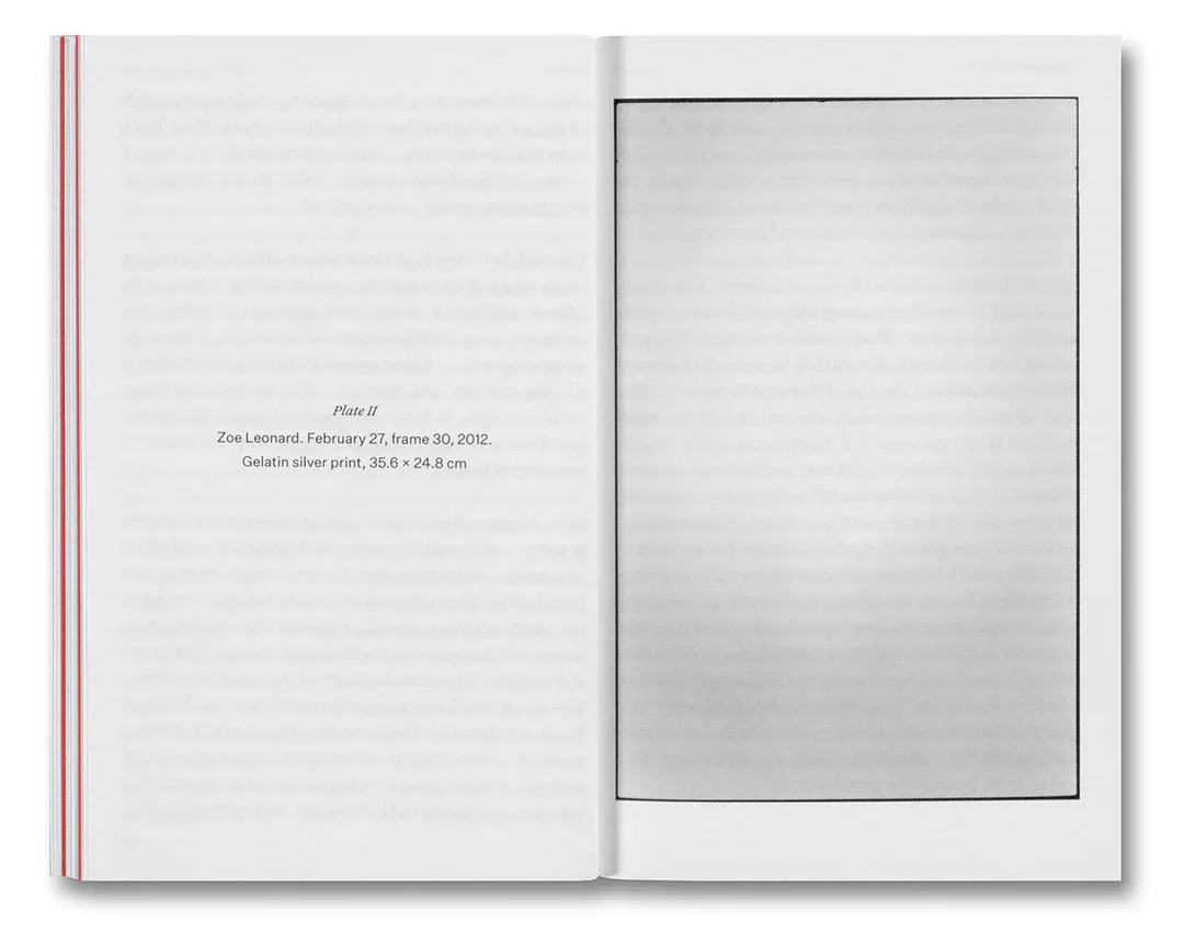 Olivier Richon - The Devouring Eye: Photography and the Mouth - Image 6