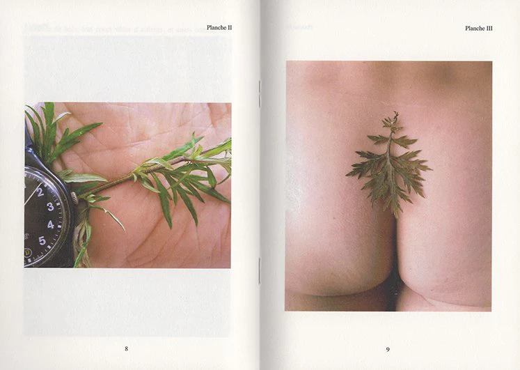 Paul Armand Gette - Divertissements botaniques (édition de tête) - Image 4