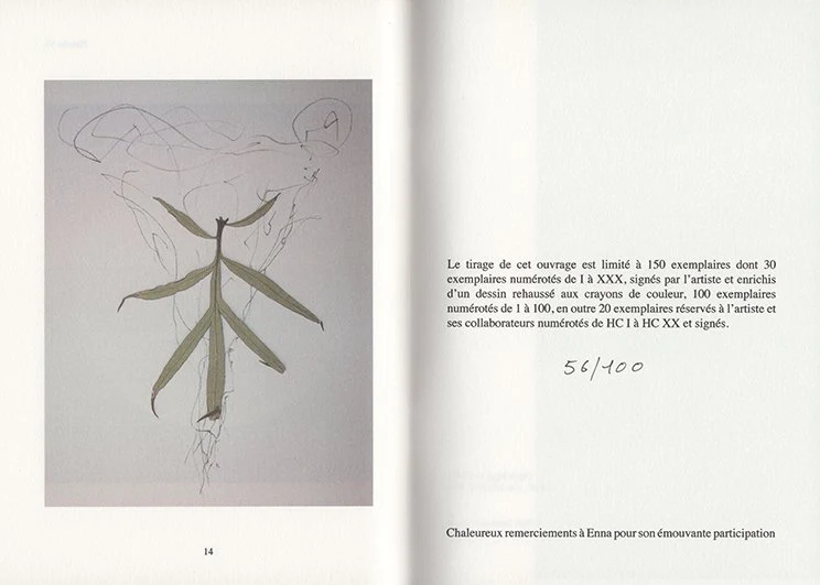 Paul Armand Gette - Divertissements botaniques (édition de tête) - Image 5