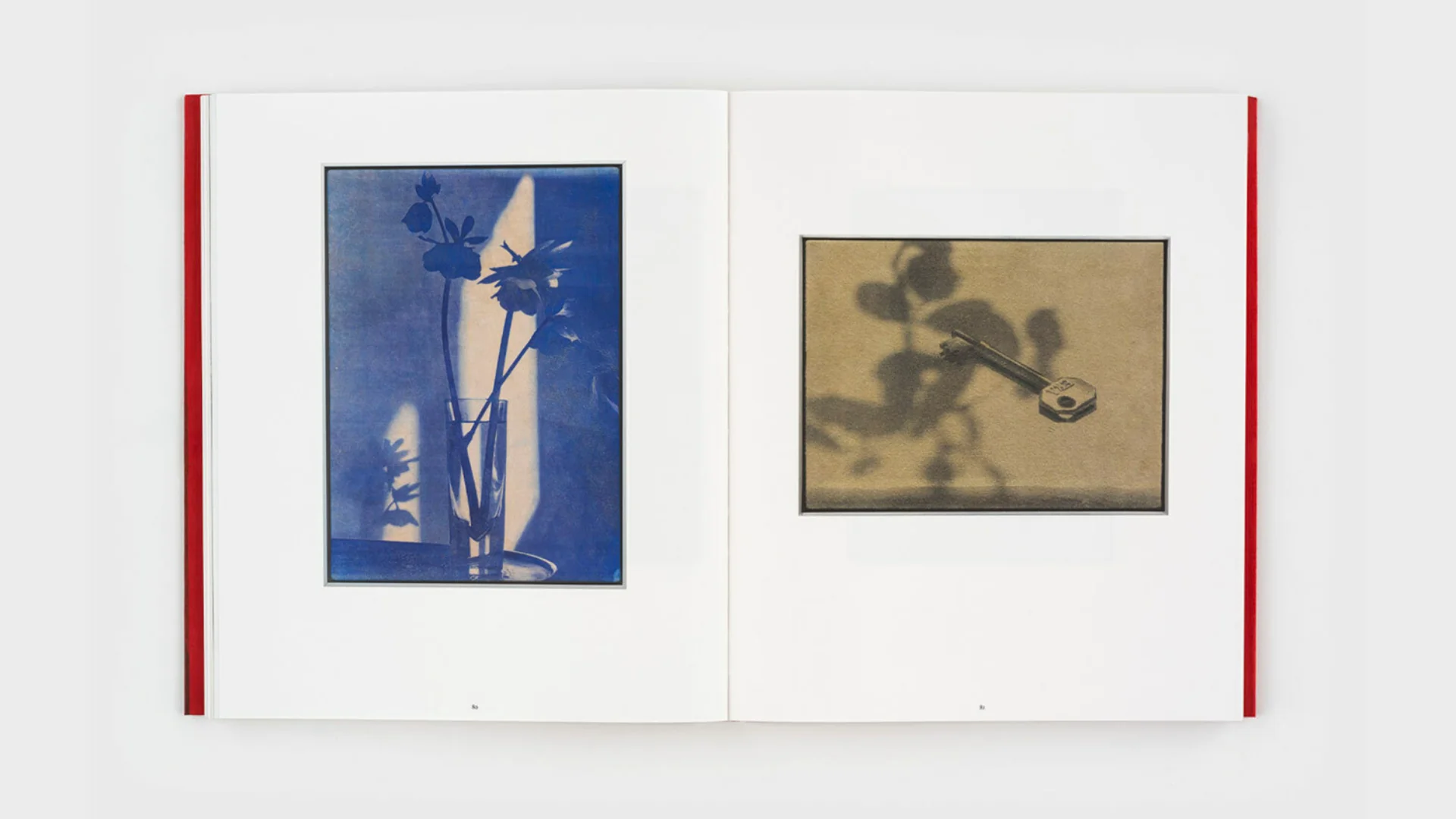 Poppy Jones - Image 10
