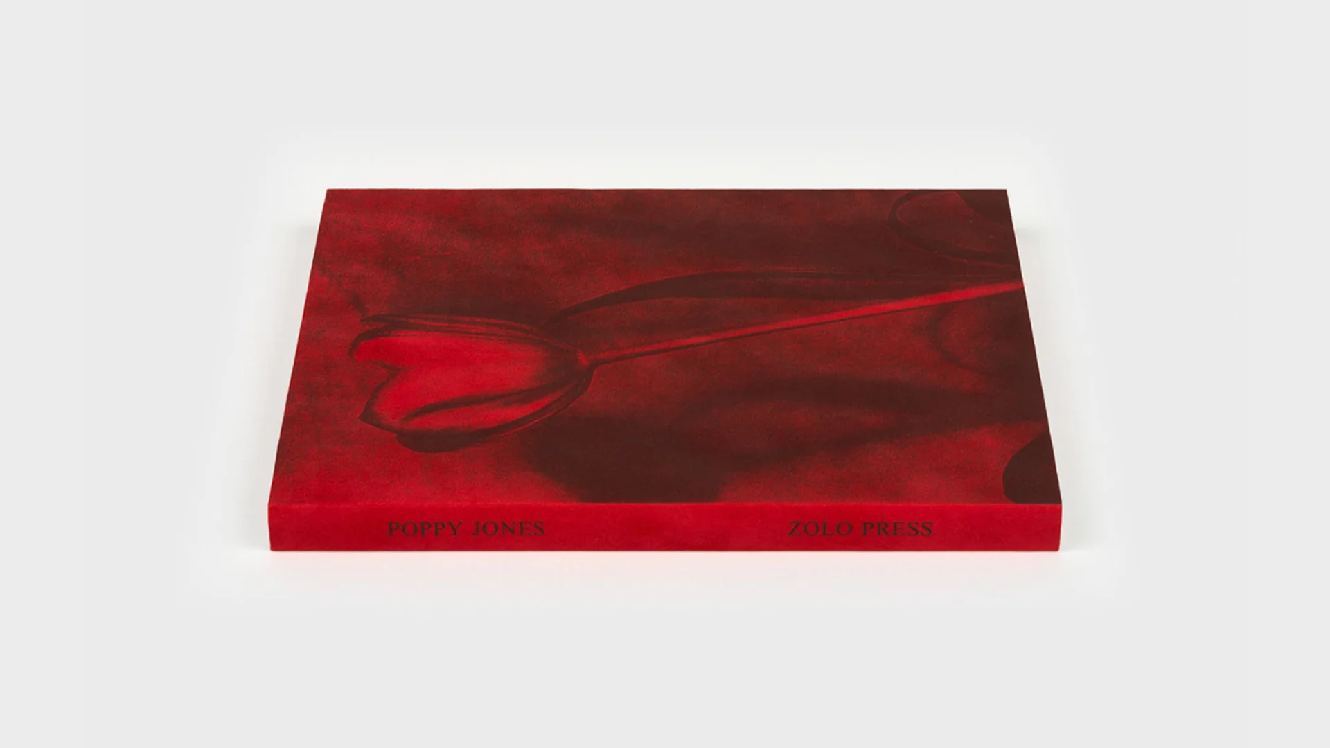Poppy Jones - Image 4