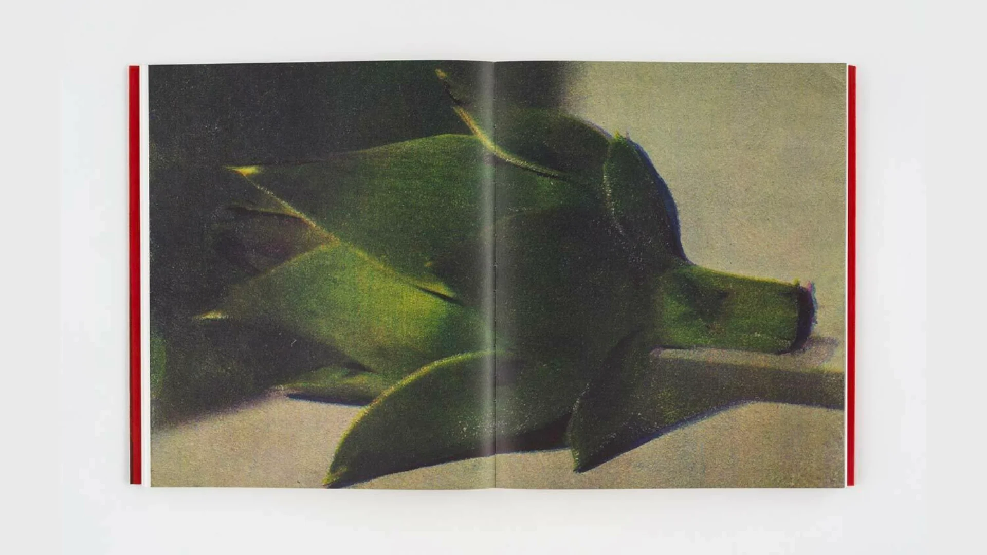 Poppy Jones - Image 8