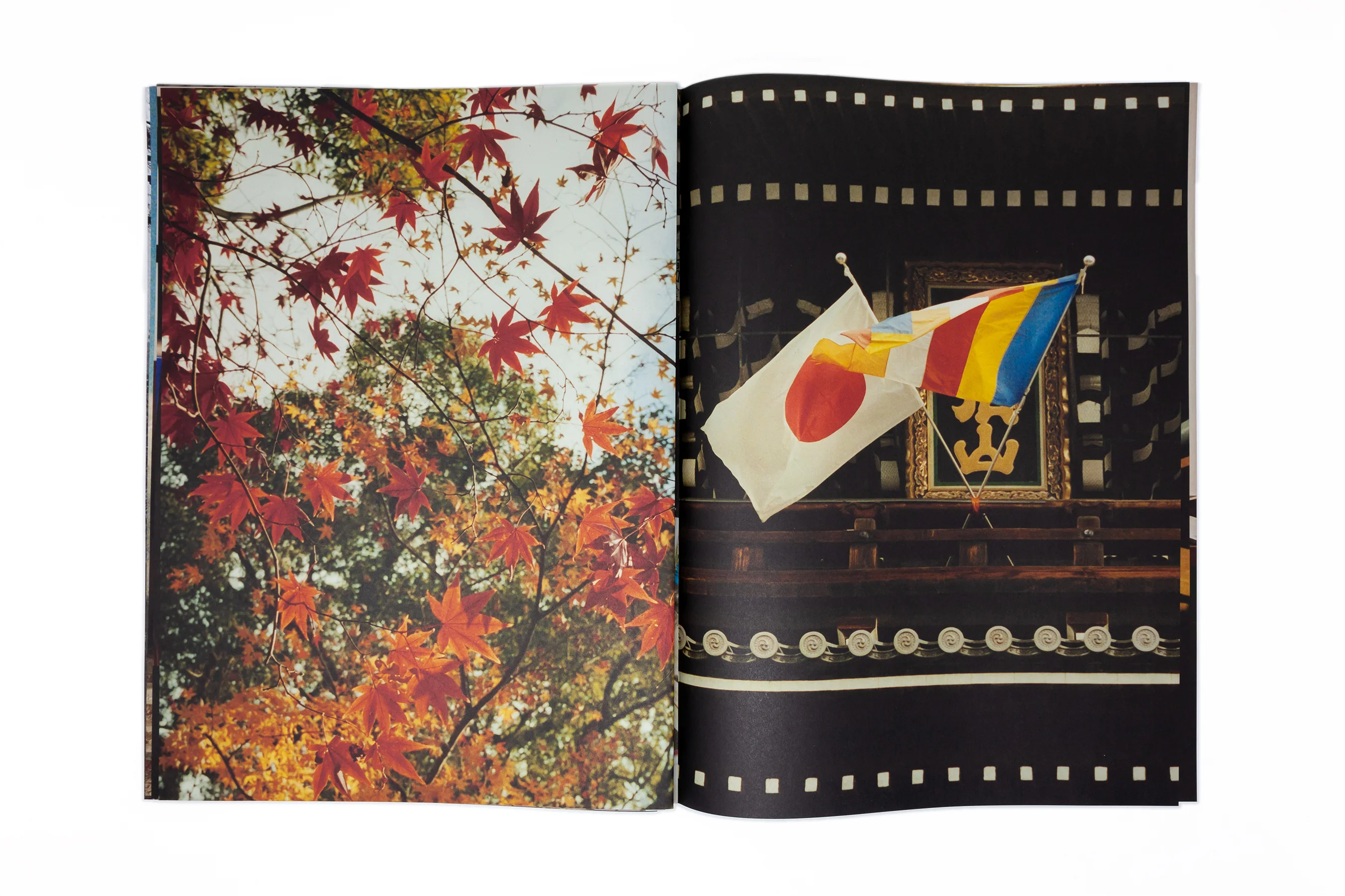 Quentin de Briey - はい ! (Hai !) - Image 10
