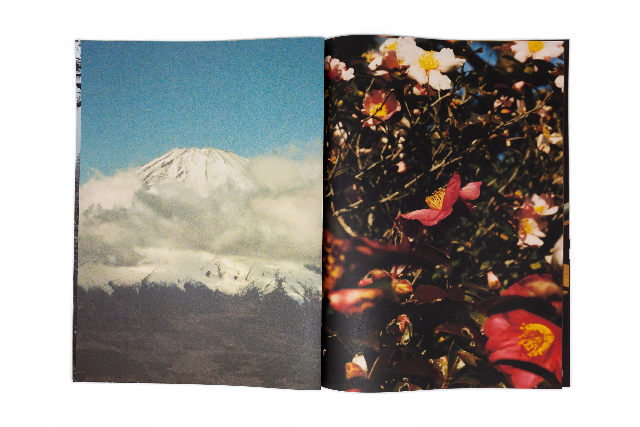 Quentin de Briey - はい ! (Hai !) - Image 8