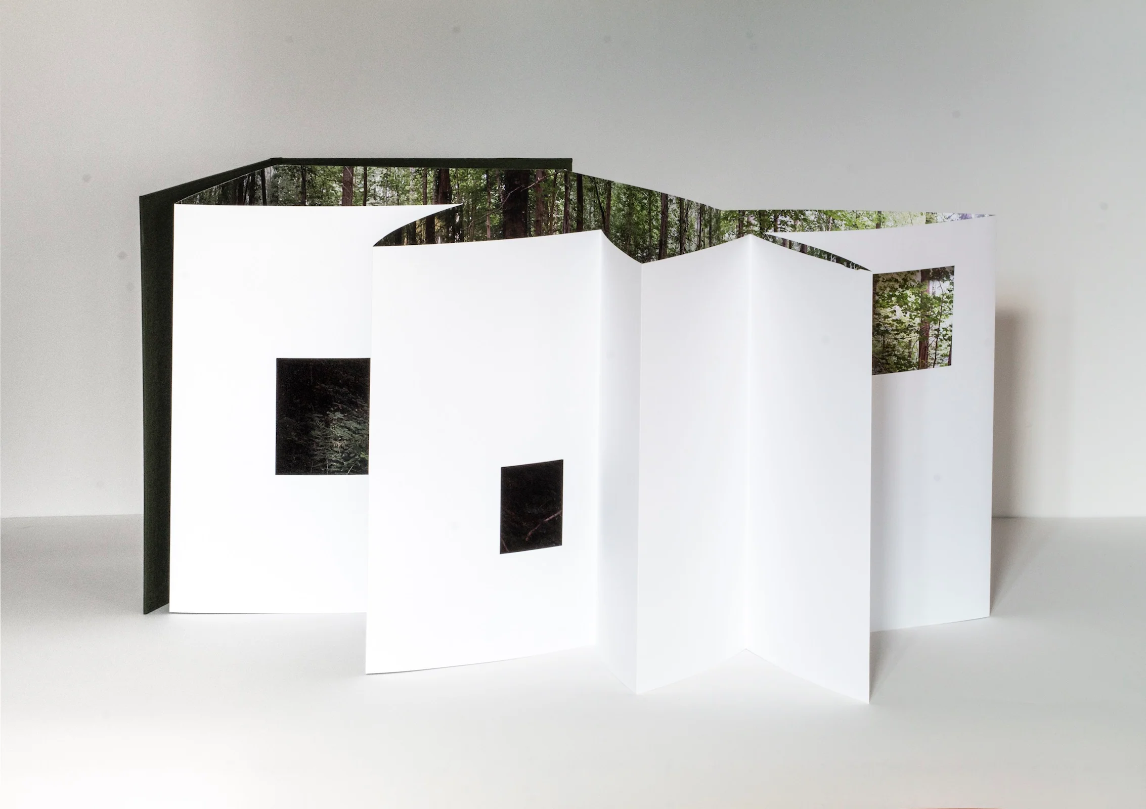 Quentin Lefranc - Panorama - Image 5