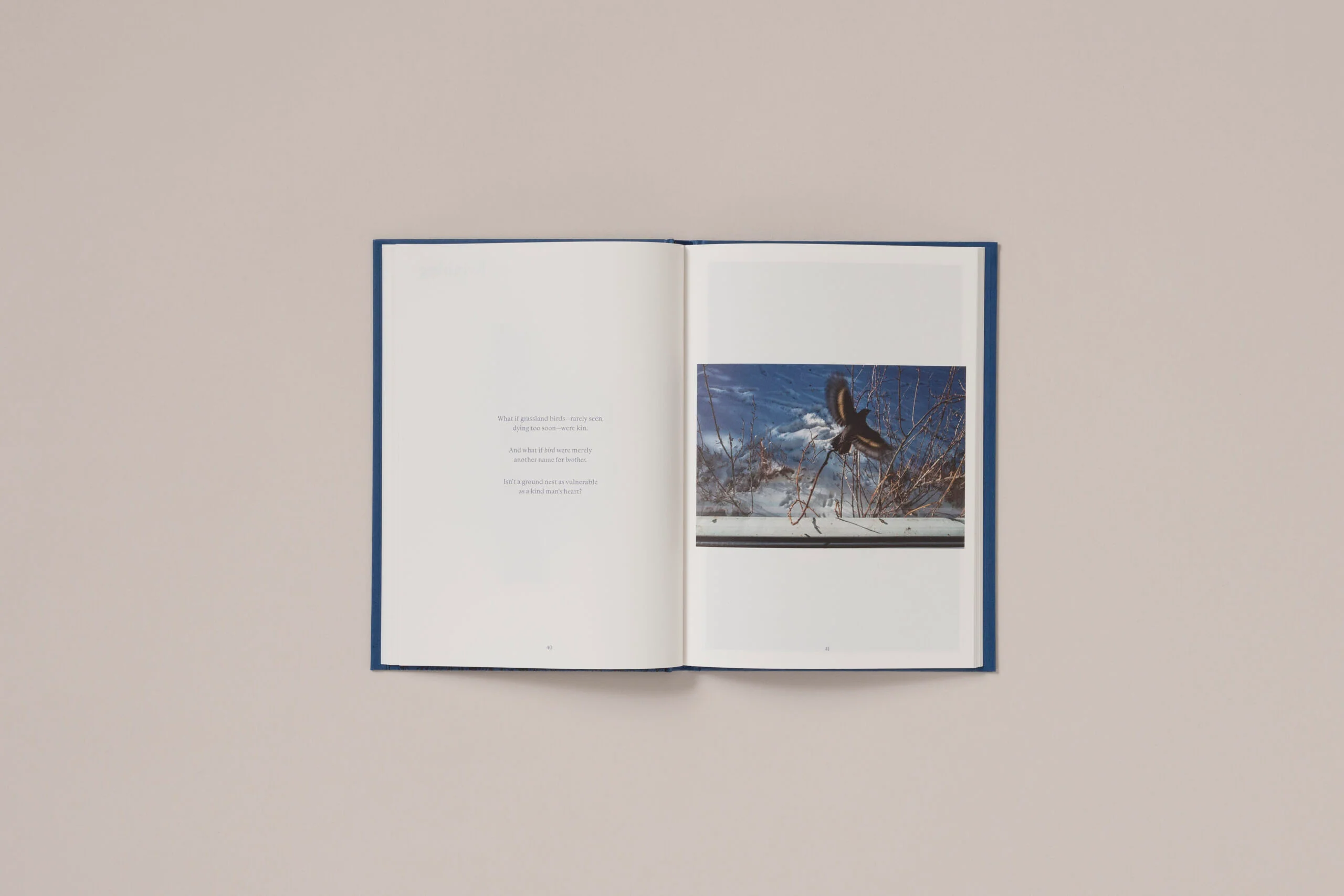 Rebecca Norris Webb - A Difficulty Is a Light - Image 11