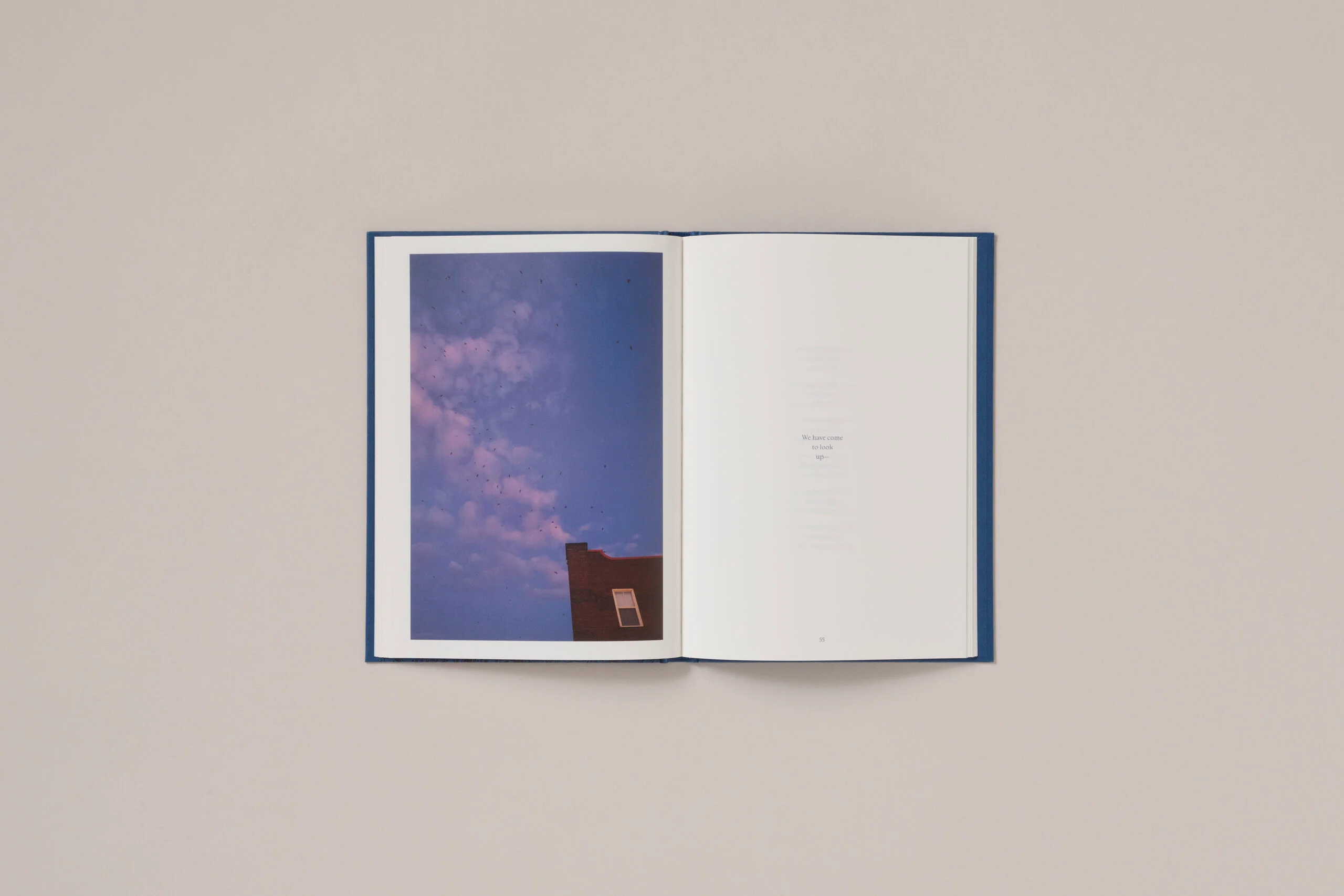Rebecca Norris Webb - A Difficulty Is a Light - Image 13