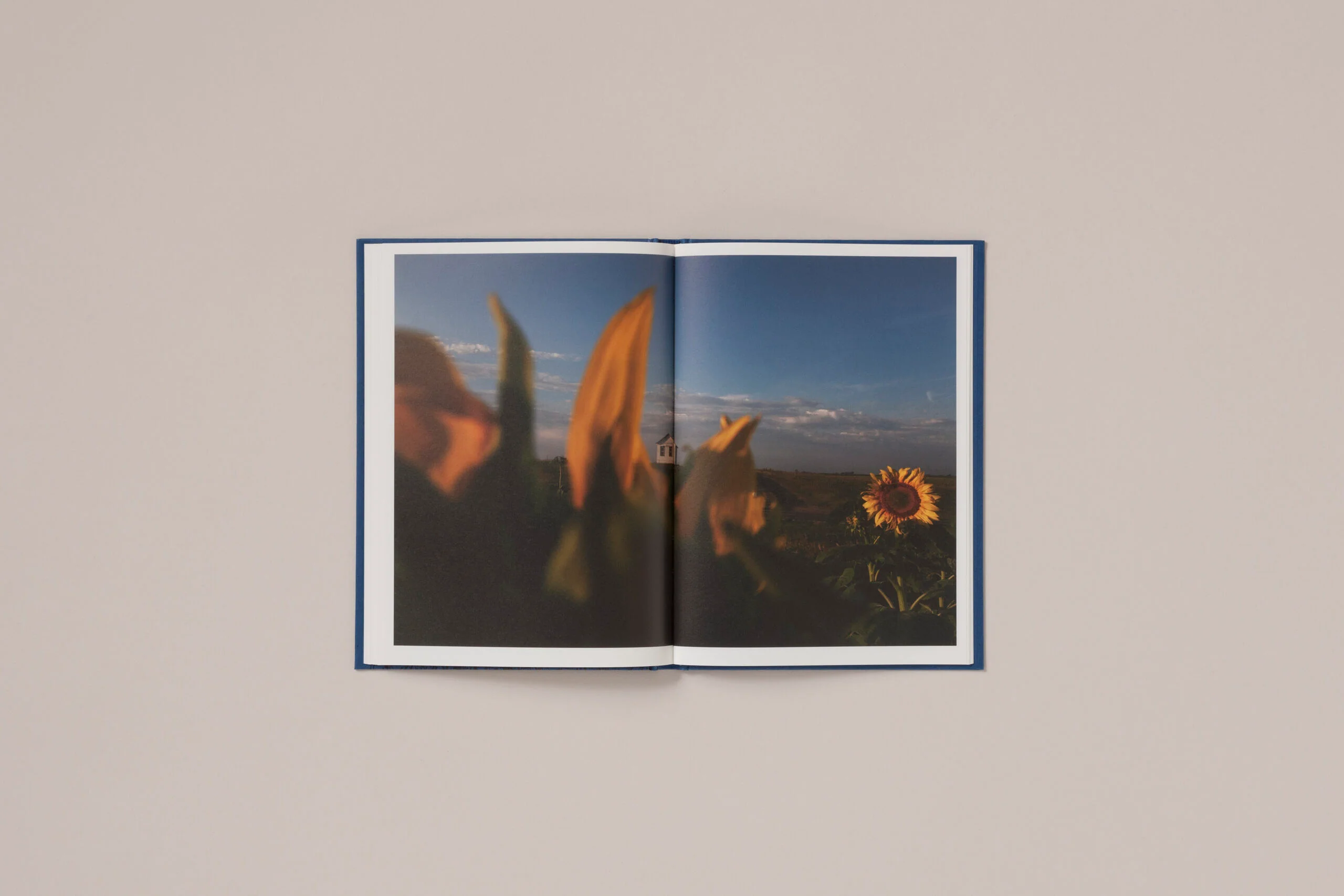 Rebecca Norris Webb - A Difficulty Is a Light - Image 15