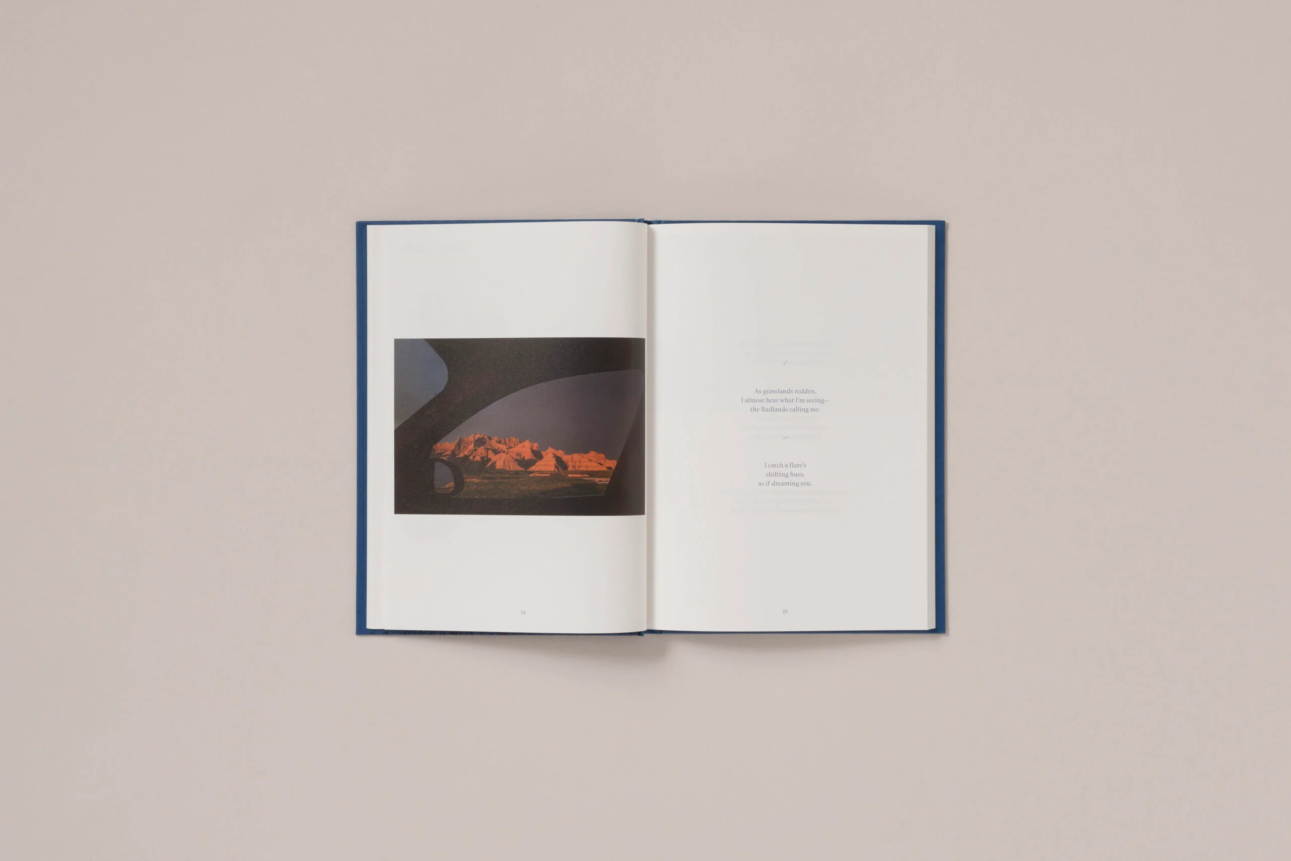 Rebecca Norris Webb - A Difficulty Is a Light - Image 8