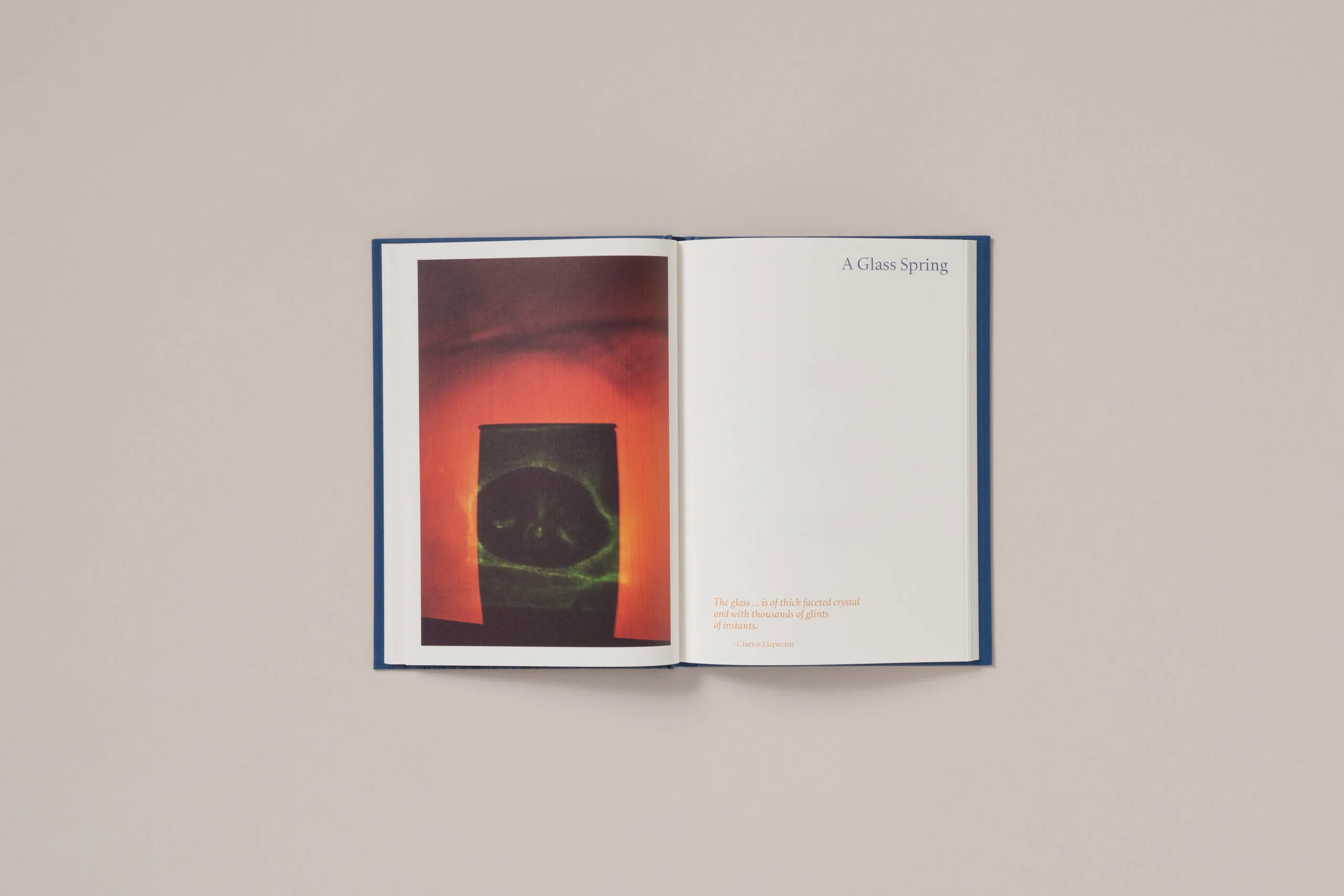 Rebecca Norris Webb - A Difficulty Is a Light - Image 9