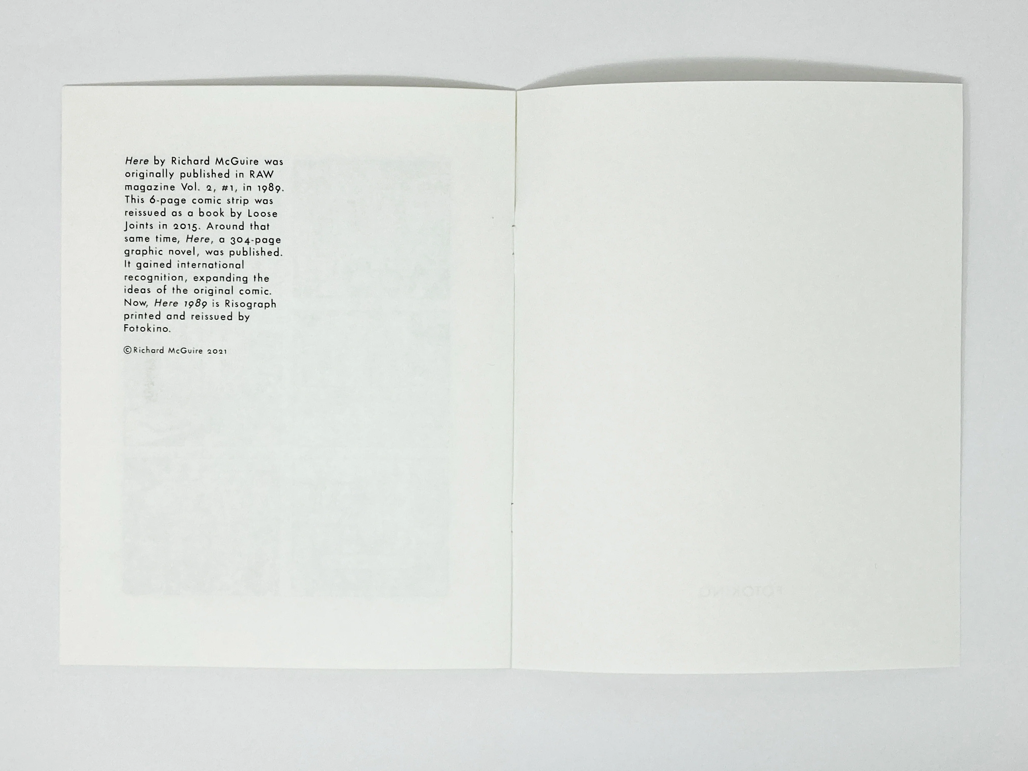 Richard McGuire - Here 1989 - Image 3