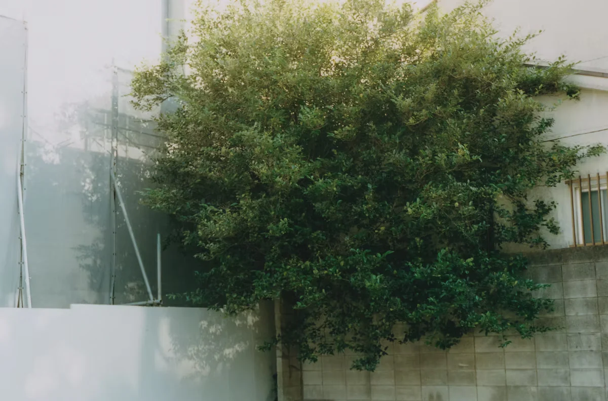 Riku Ikeya - There exists - Image 3