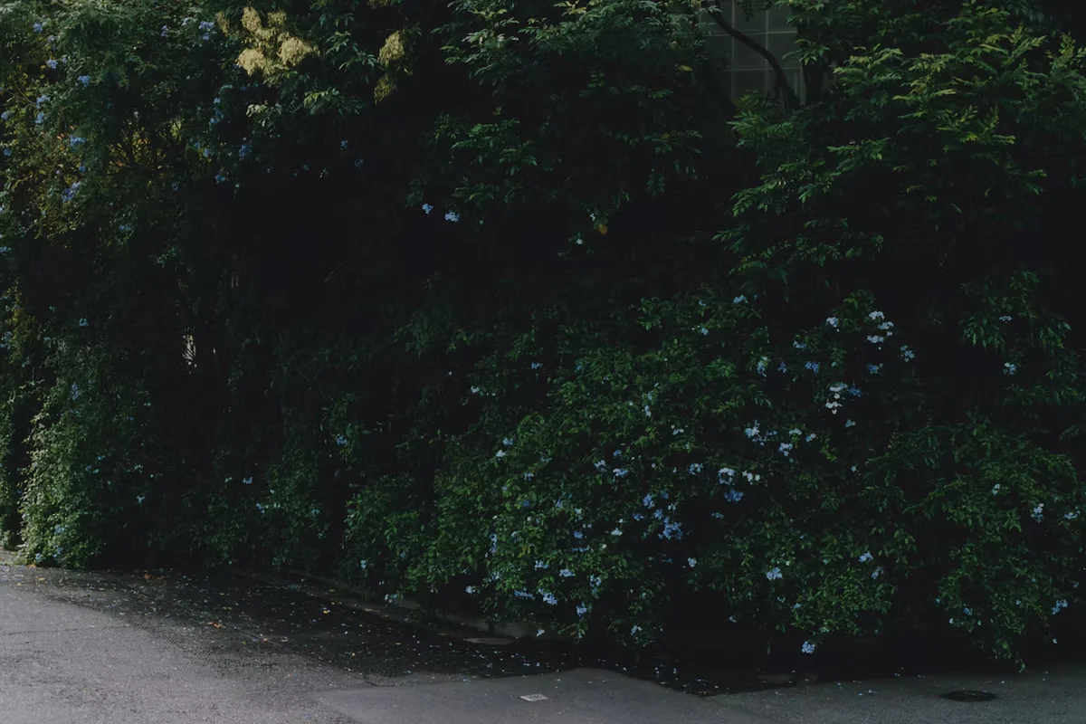Riku Ikeya - There exists - Image 7