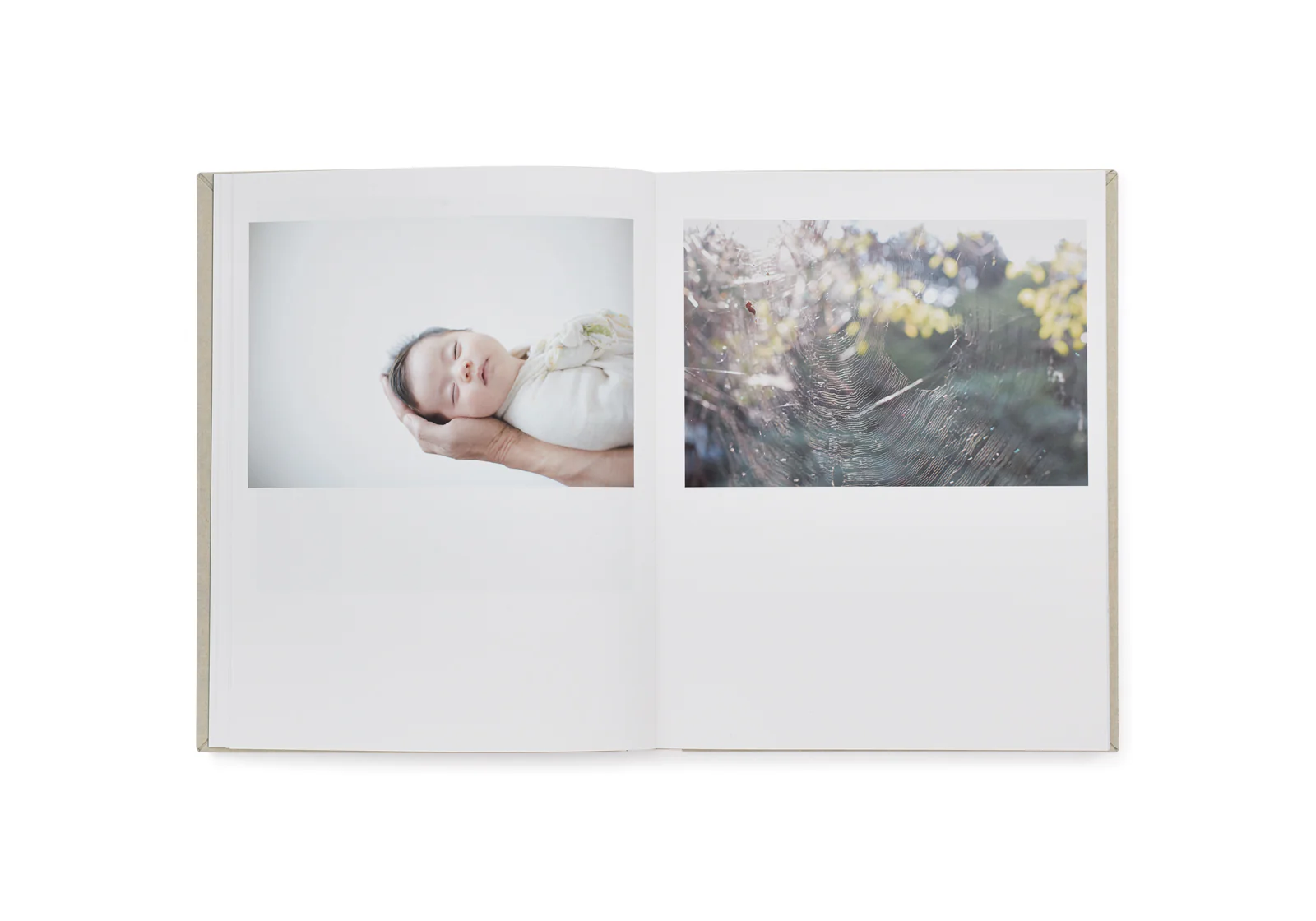 Rinko Kawauchi - as it is - Image 4