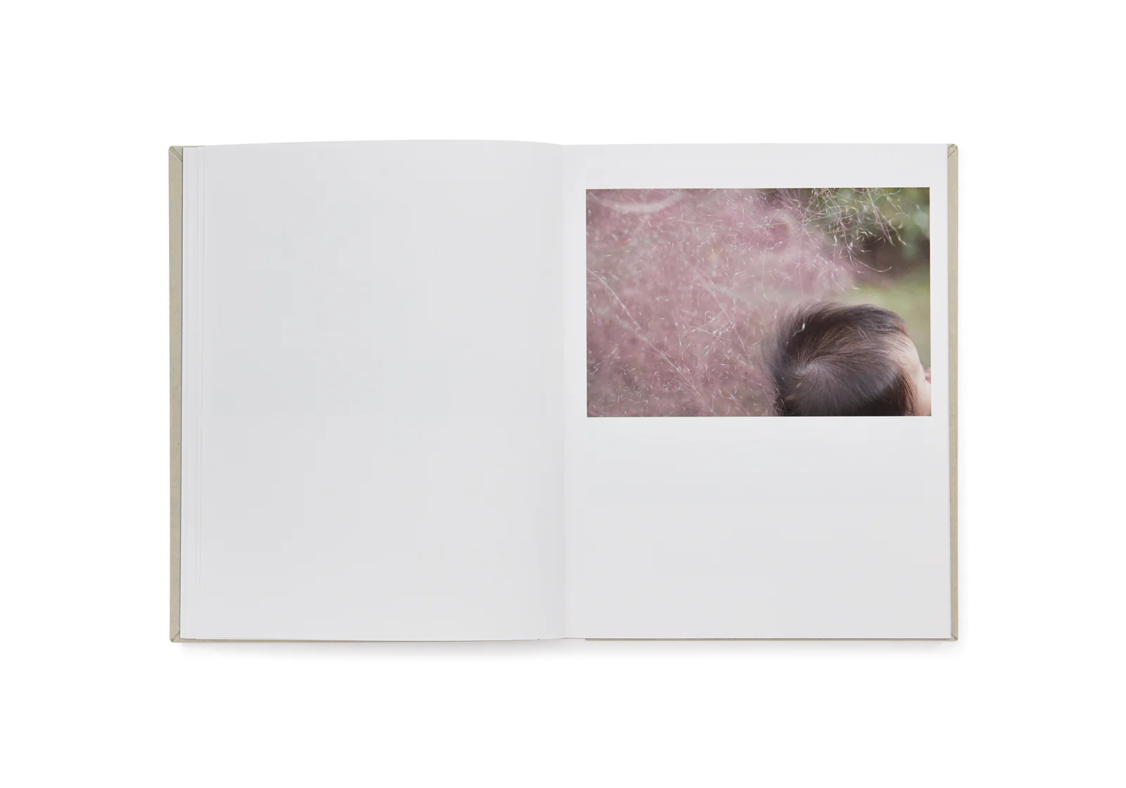 Rinko Kawauchi - as it is - Image 5