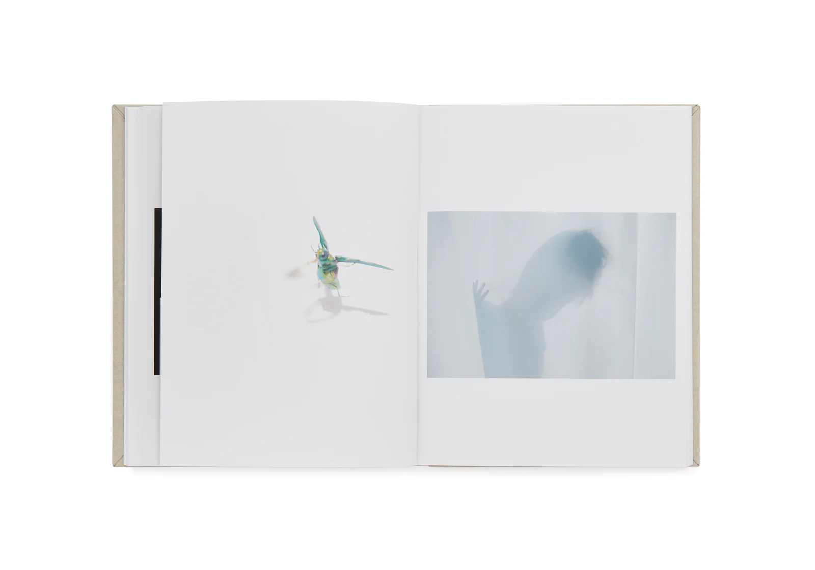 Rinko Kawauchi - as it is - Image 9