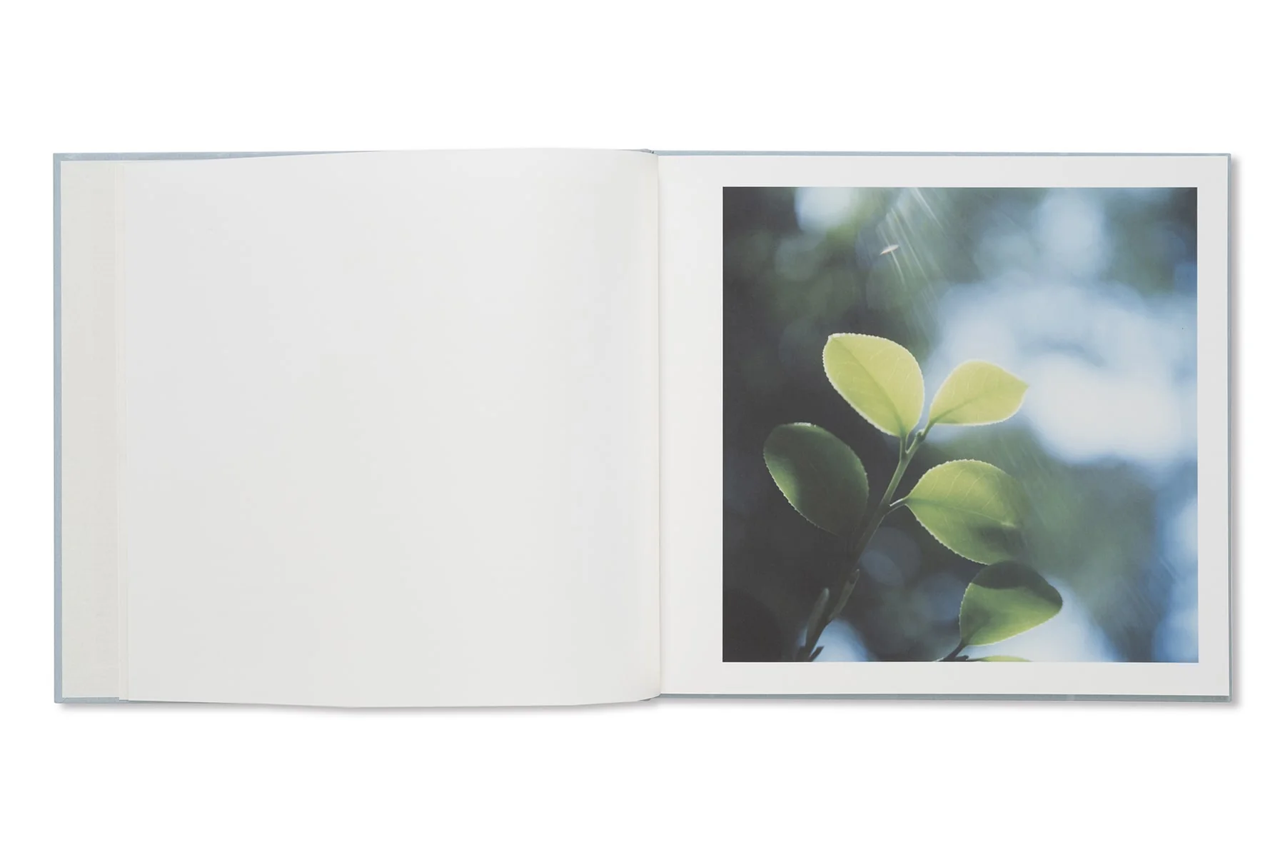 Rinko Kawauchi - Here and Now - Image 3