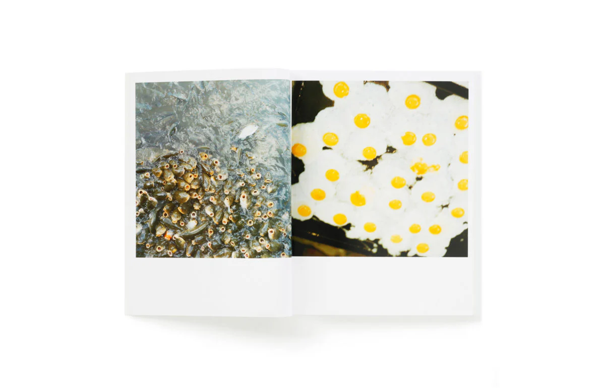 Rinko Kawauchi - Utatane - Image 4