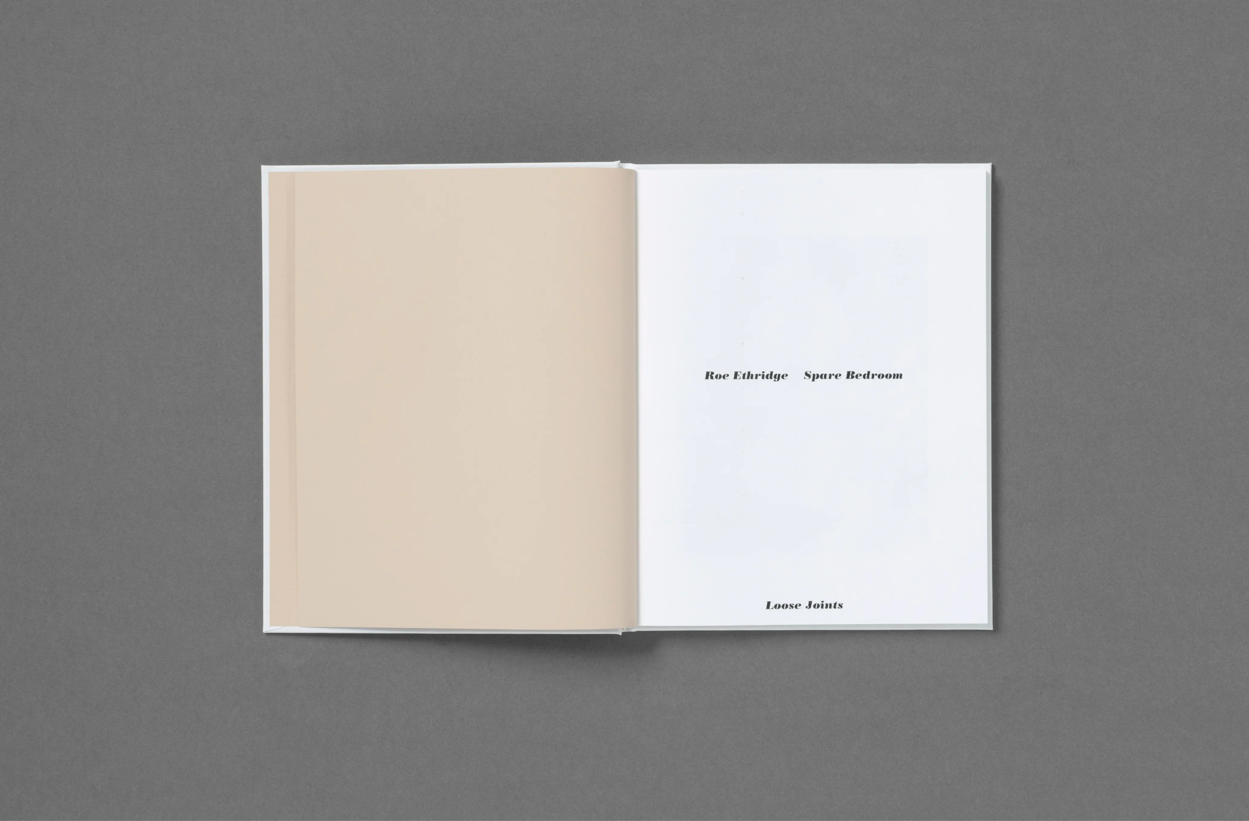 Roe Ethridge - In the Beginning - Image 10