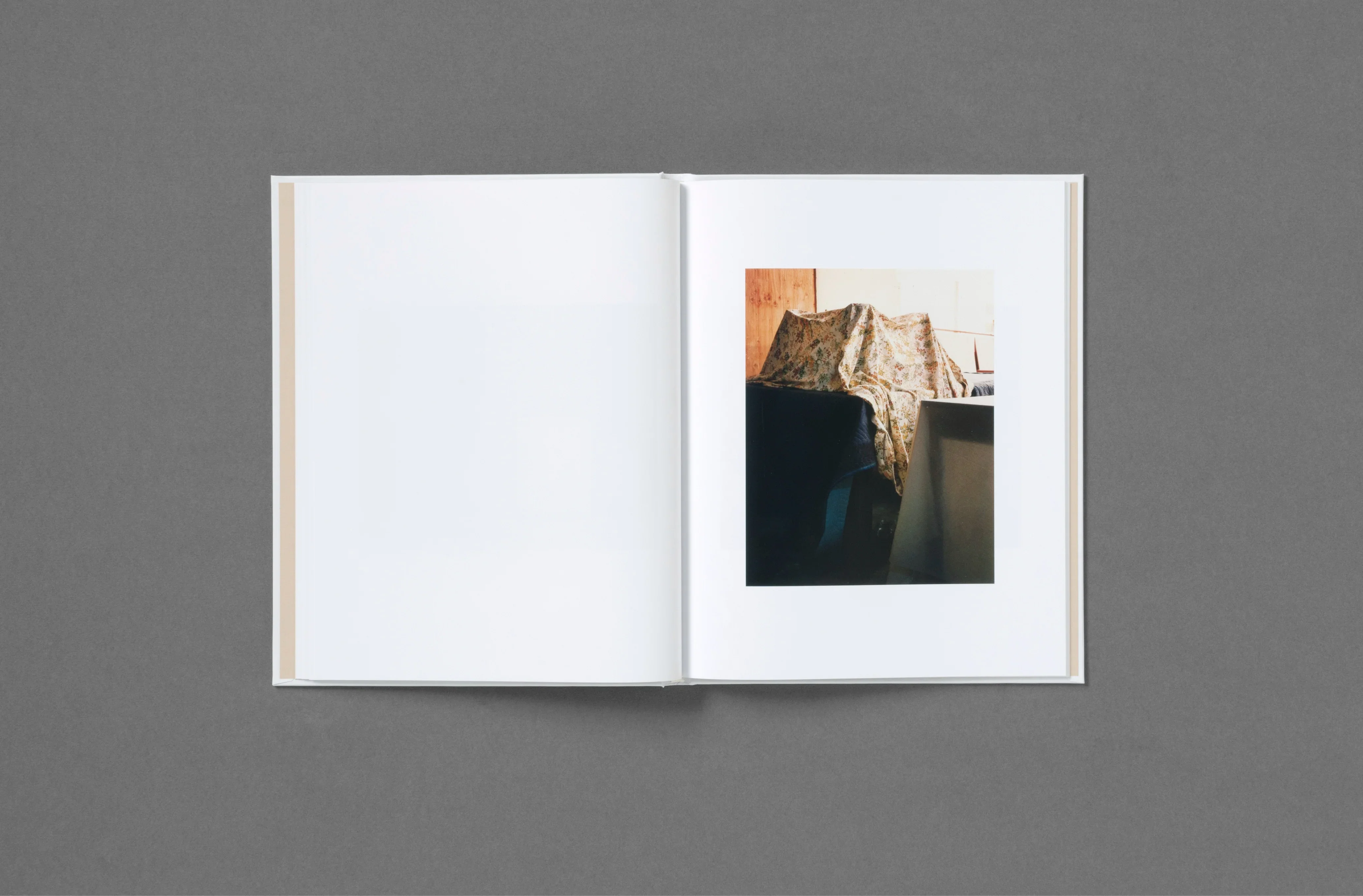 Roe Ethridge - In the Beginning - Image 16