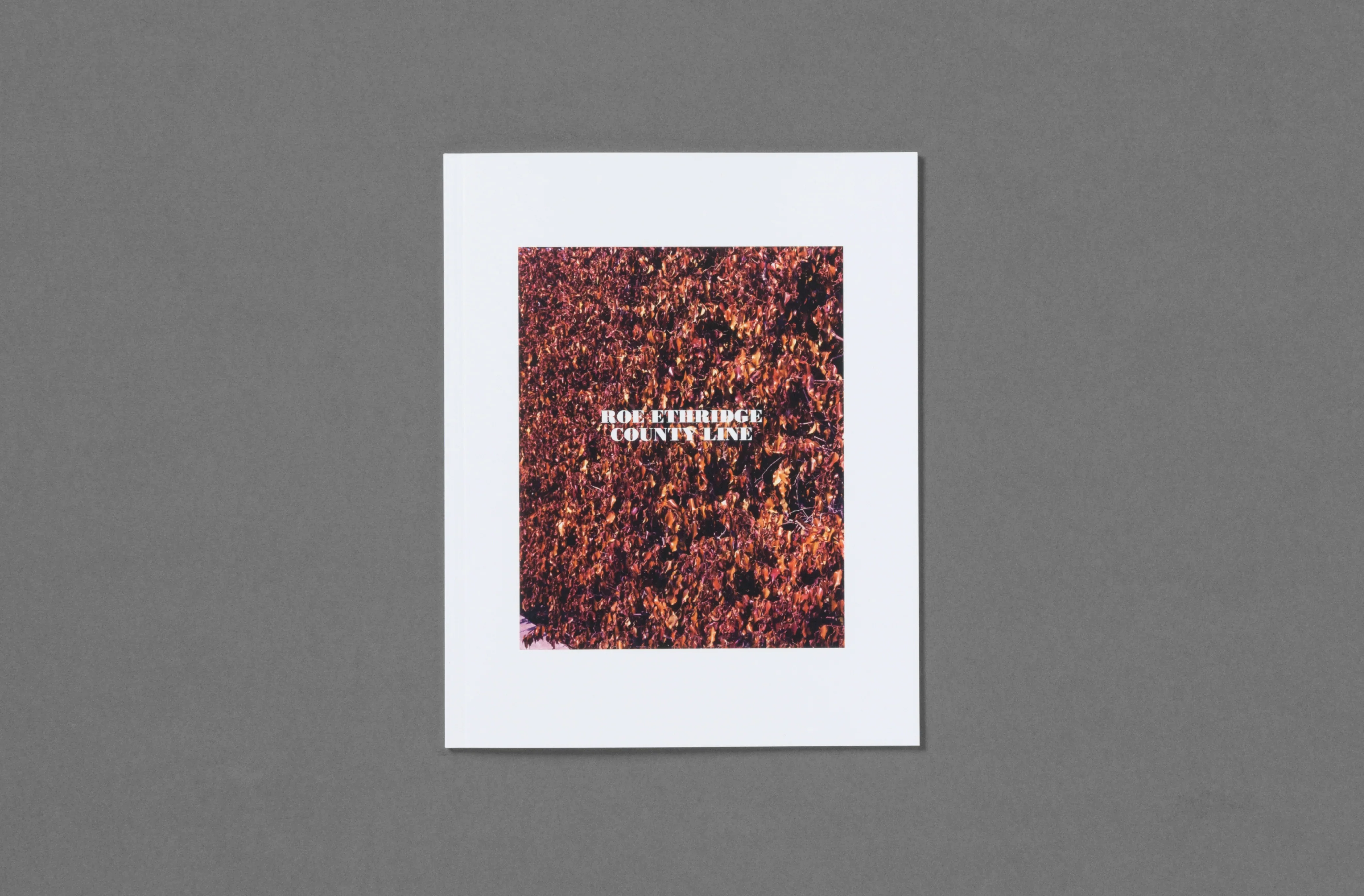 Roe Ethridge - In the Beginning - Image 22