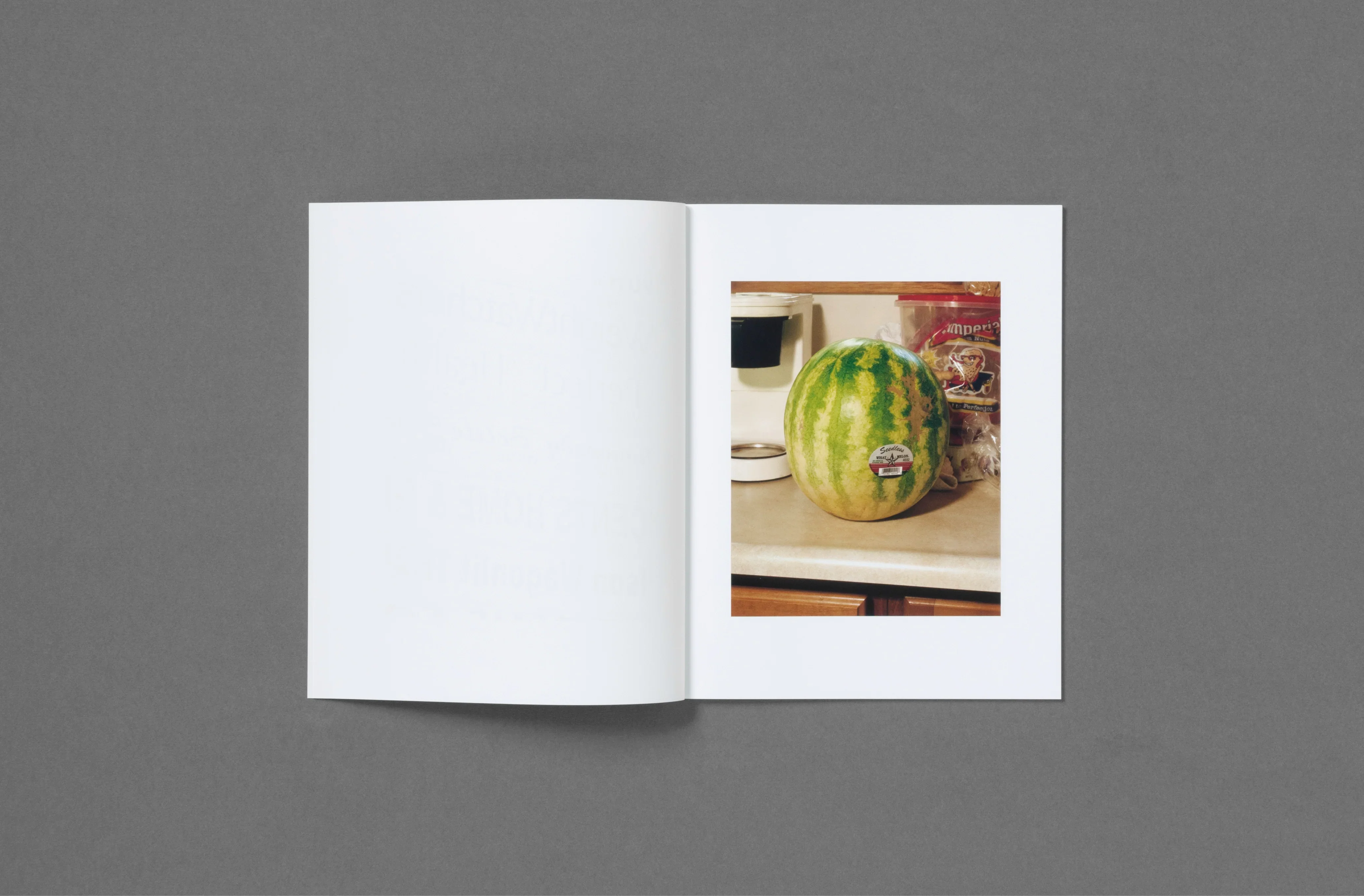 Roe Ethridge - In the Beginning - Image 24