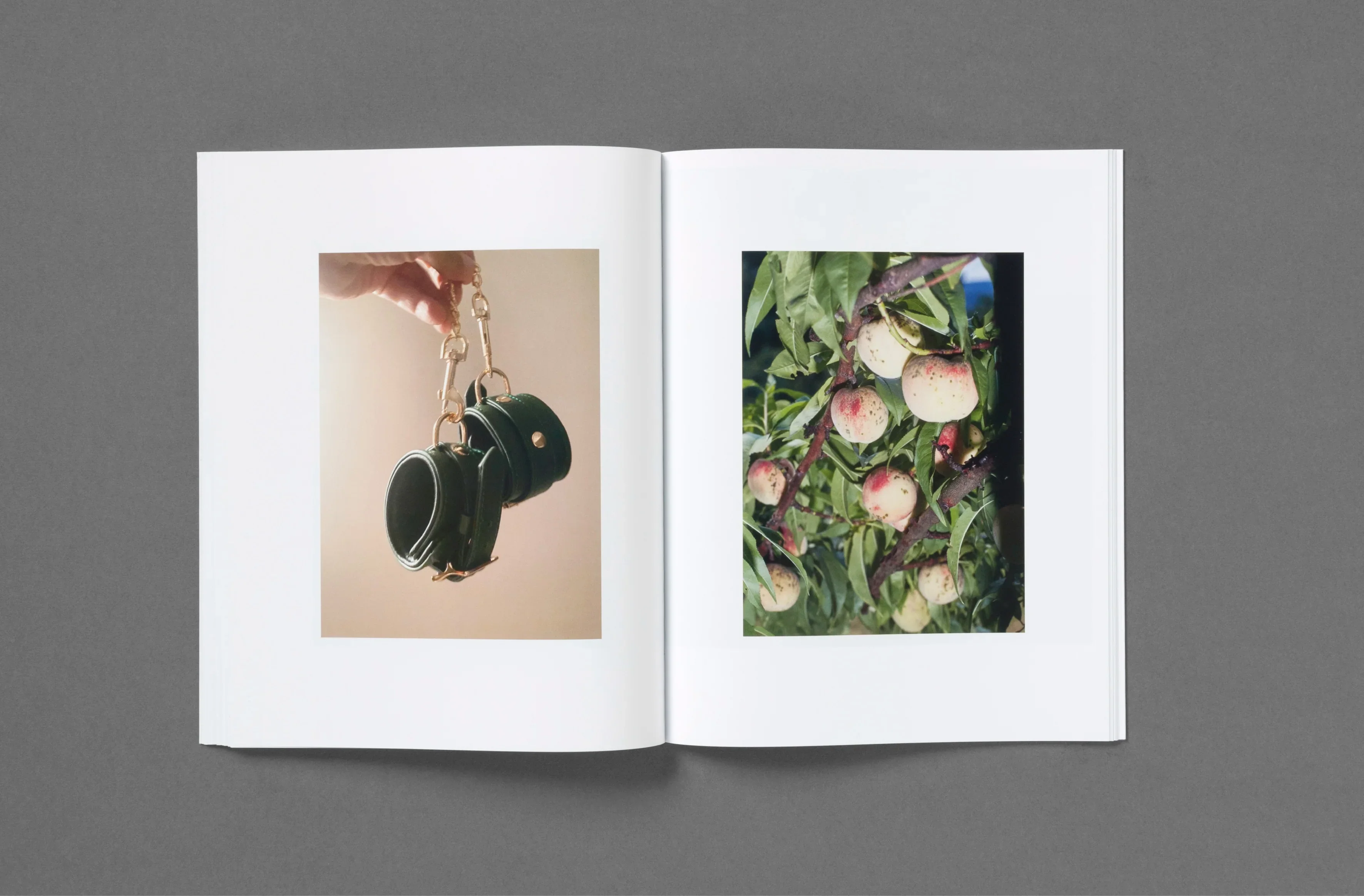 Roe Ethridge - Rude in the Good Way - Image 20