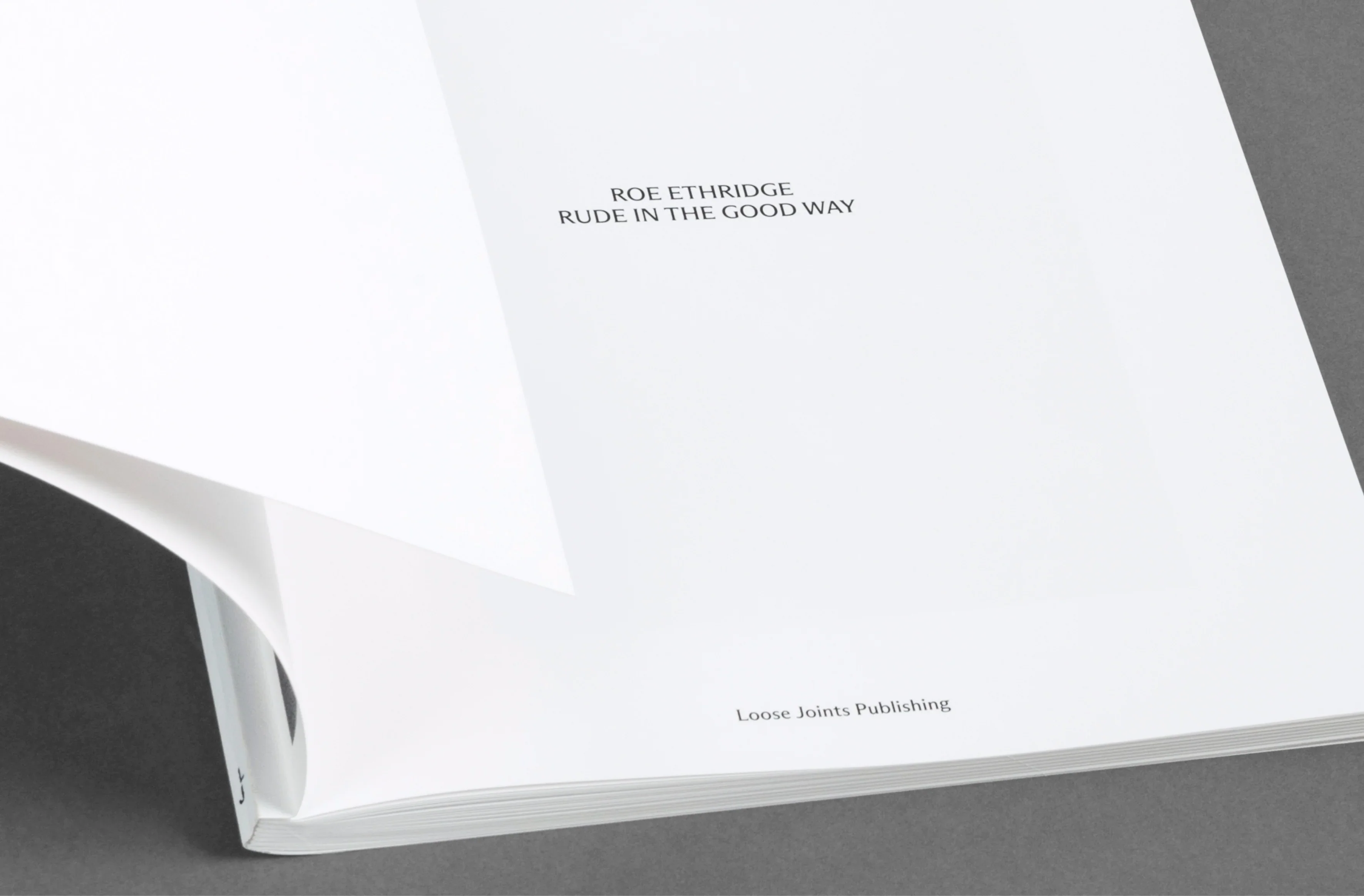 Roe Ethridge - Rude in the Good Way - Image 3