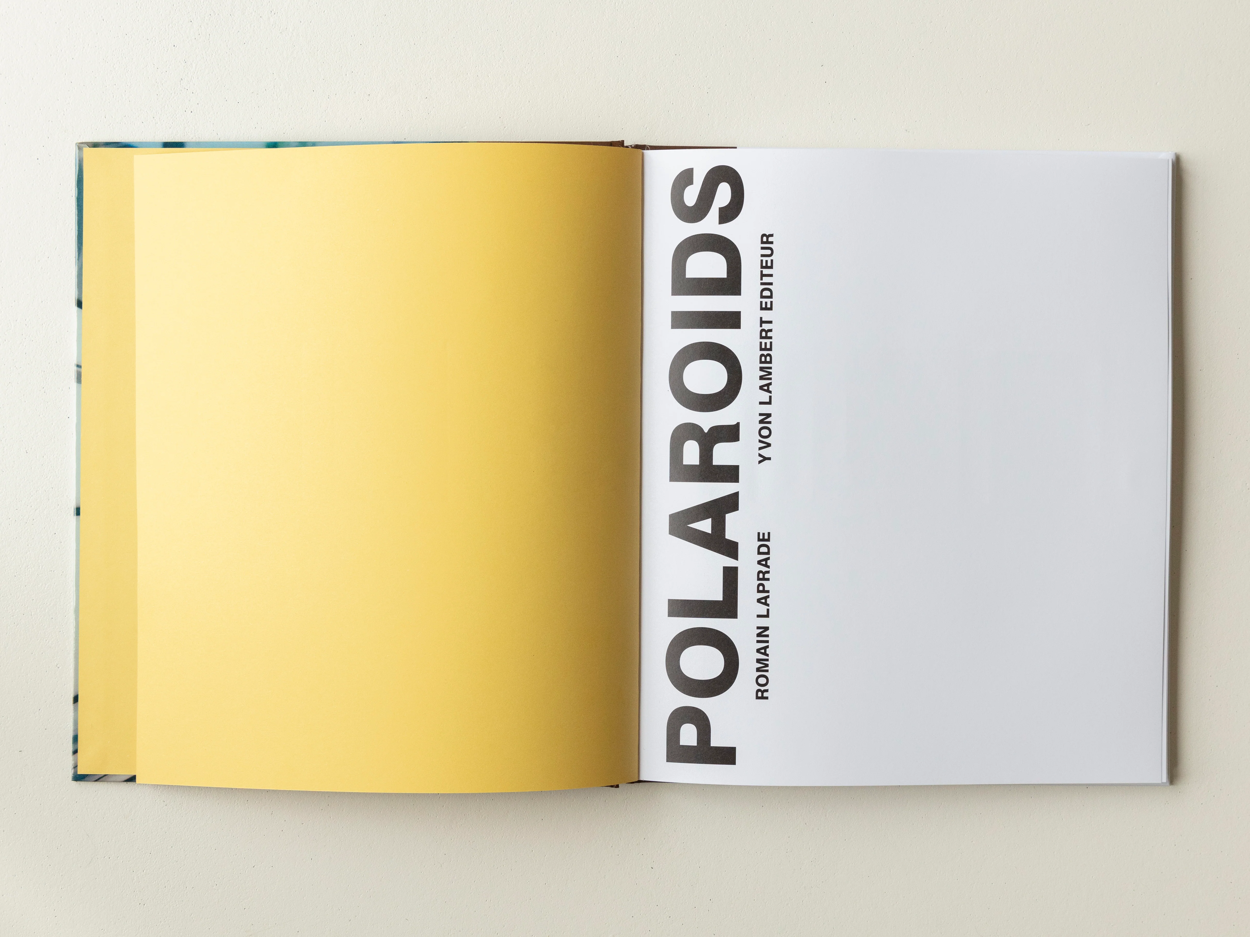 Romain Laprade - Polaroids - Image 3