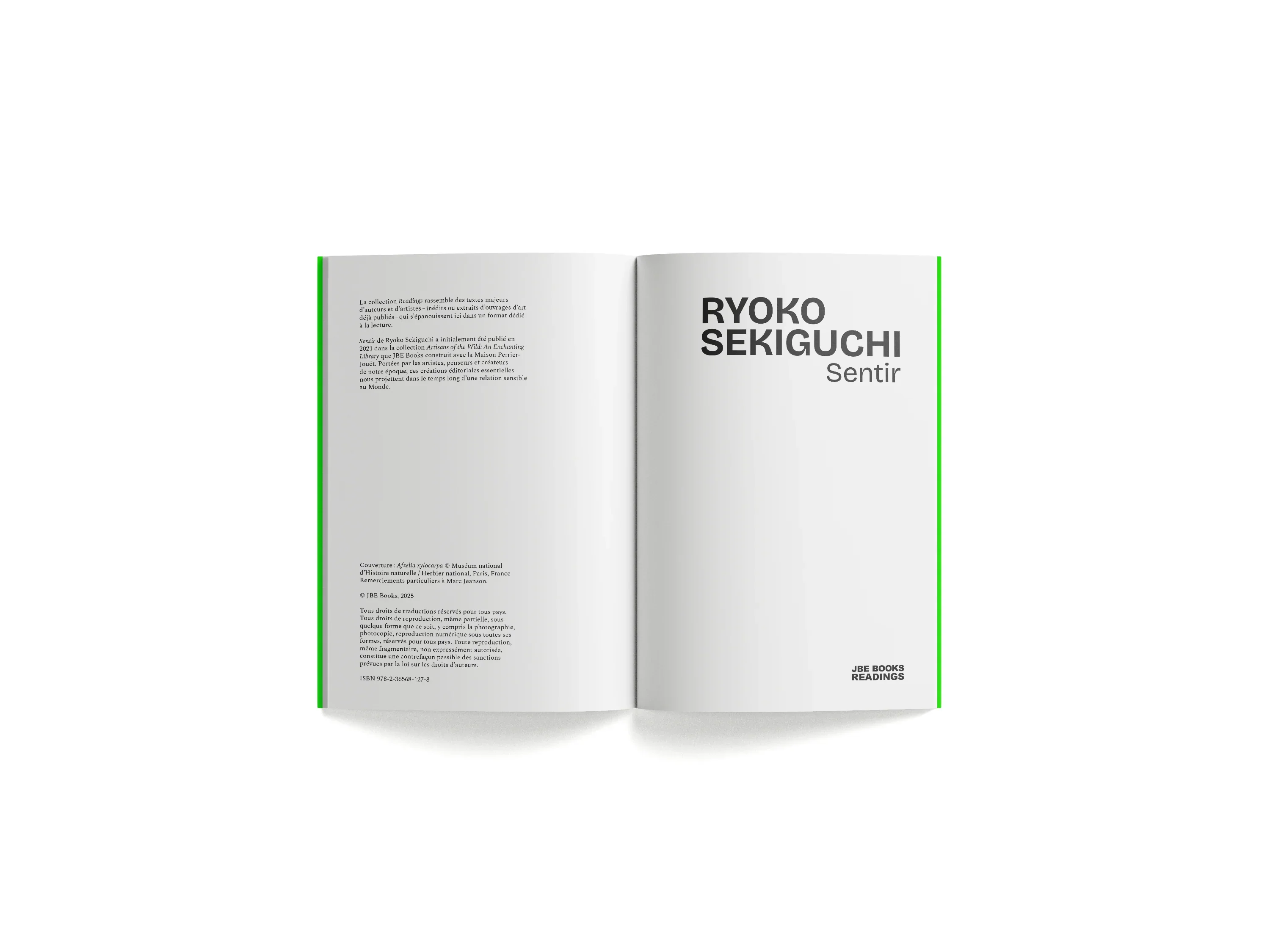 Ryoko Sekiguchi - Sentir (New Ed.) - Image 4