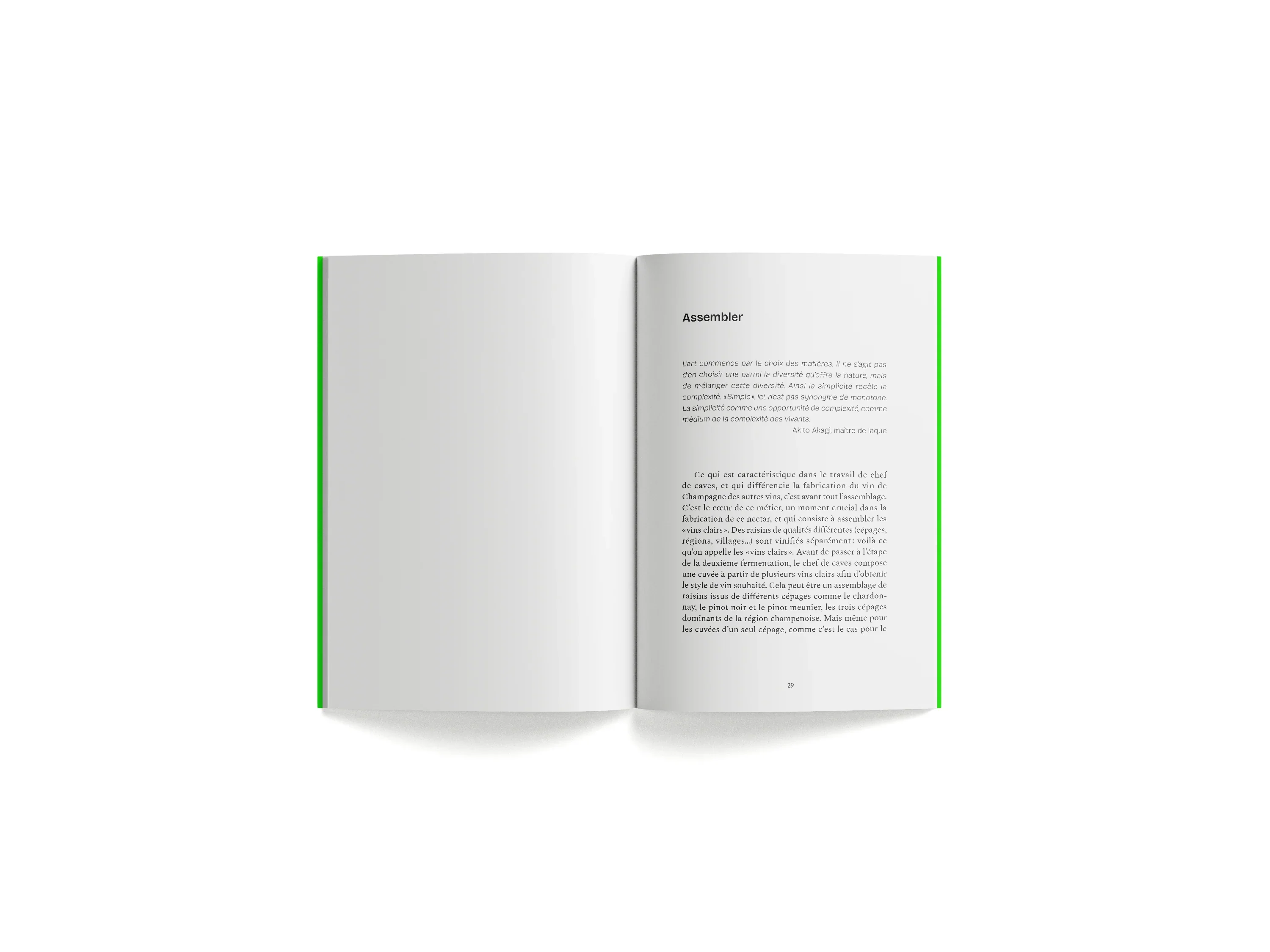 Ryoko Sekiguchi - Sentir (New Ed.) - Image 7